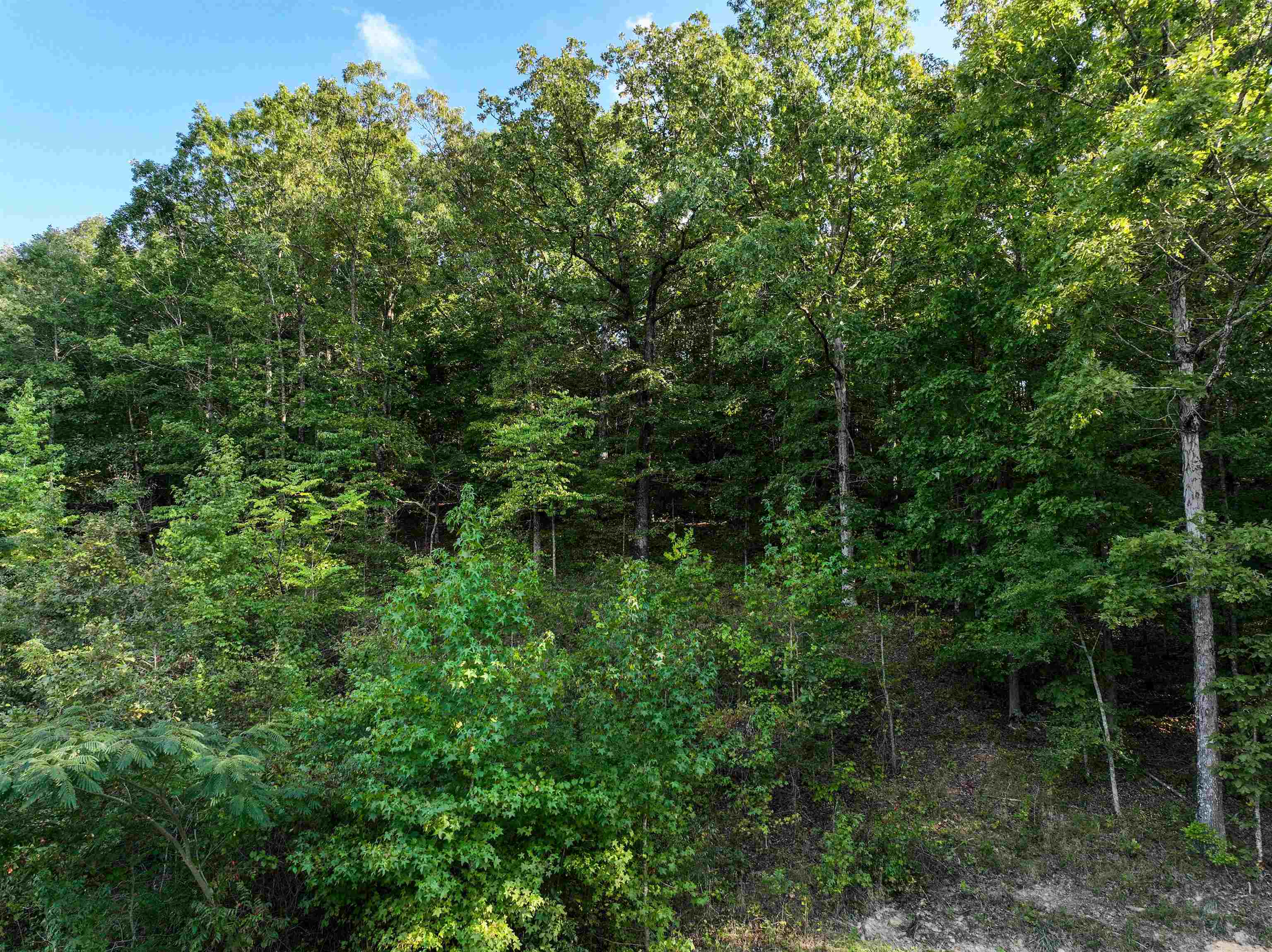 TBD Rainbow Lake Lot 51 Austin, AR