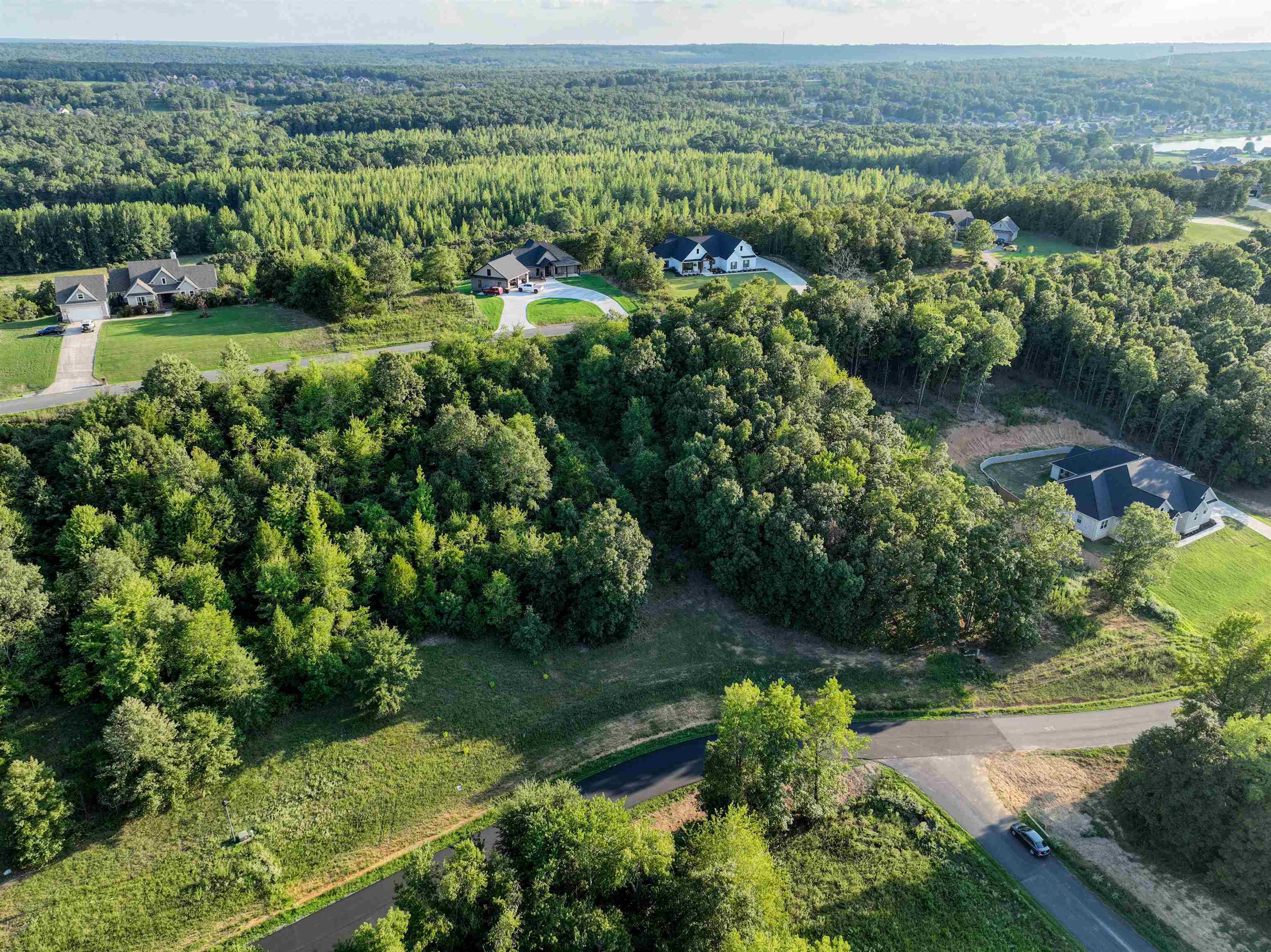 TBD Rainbow Lake Lot 51 Austin, AR