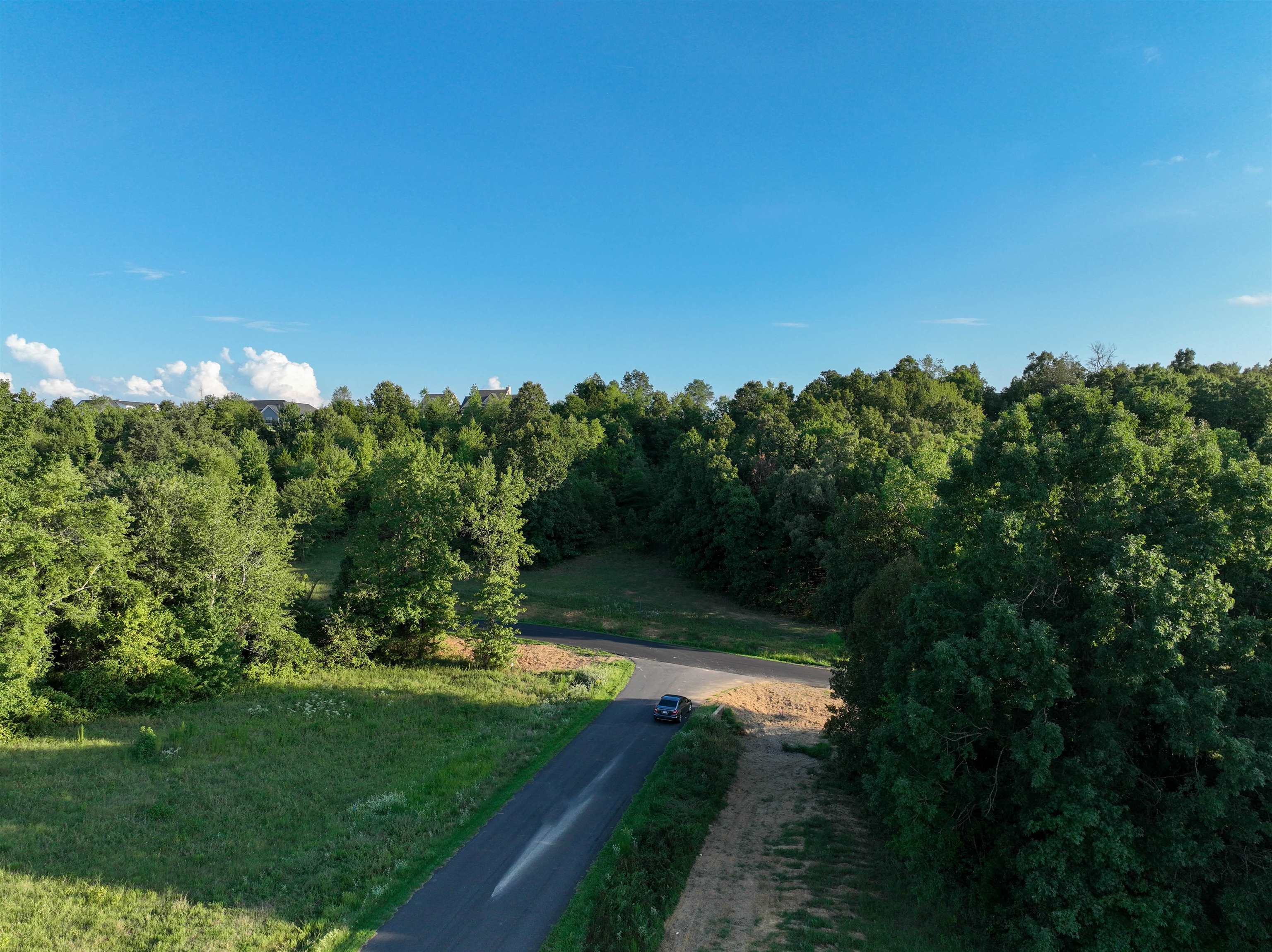 TBD Rainbow Lake Lot 51 Austin, AR