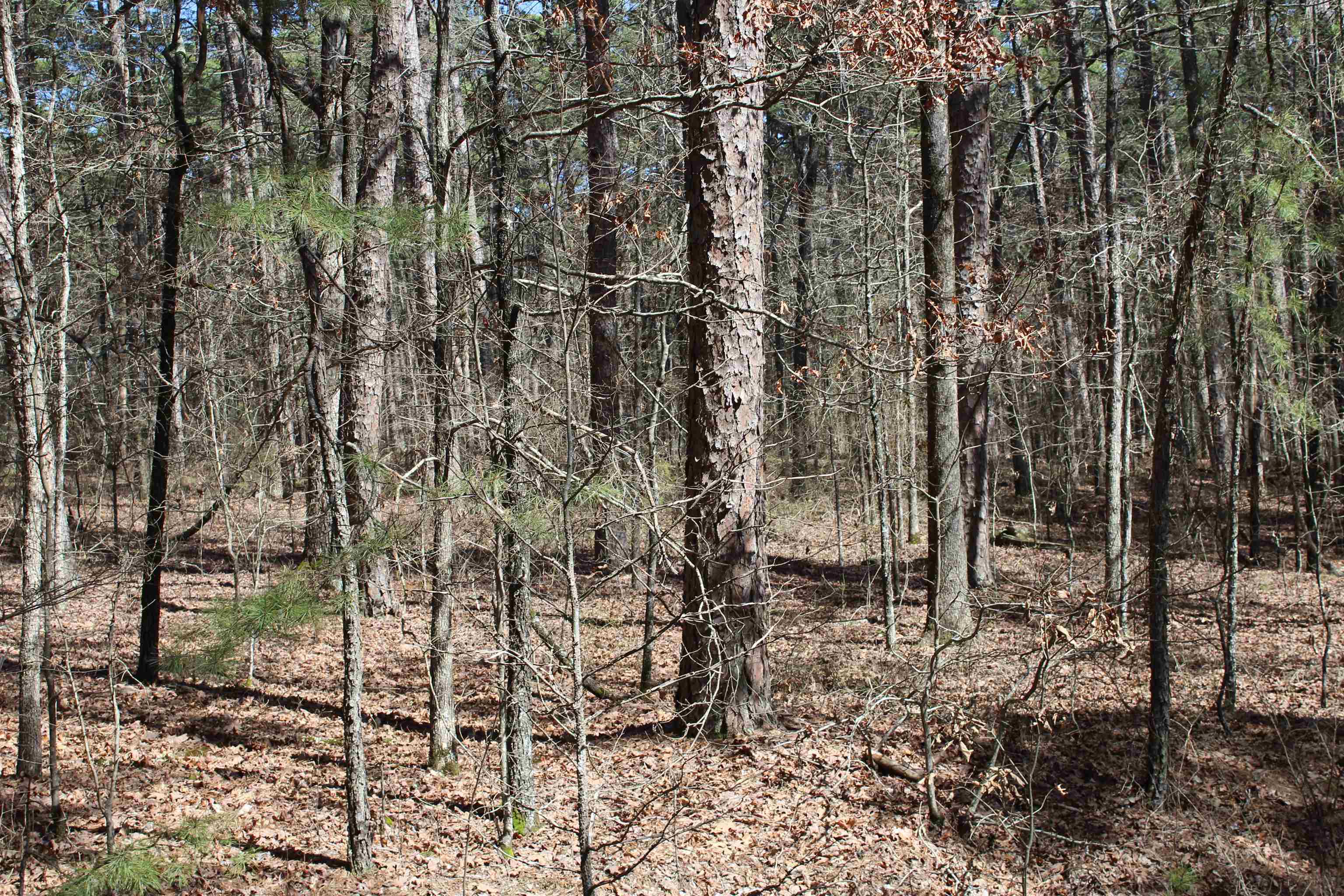   Pyrenees Circle  Hot Springs Village, AR
