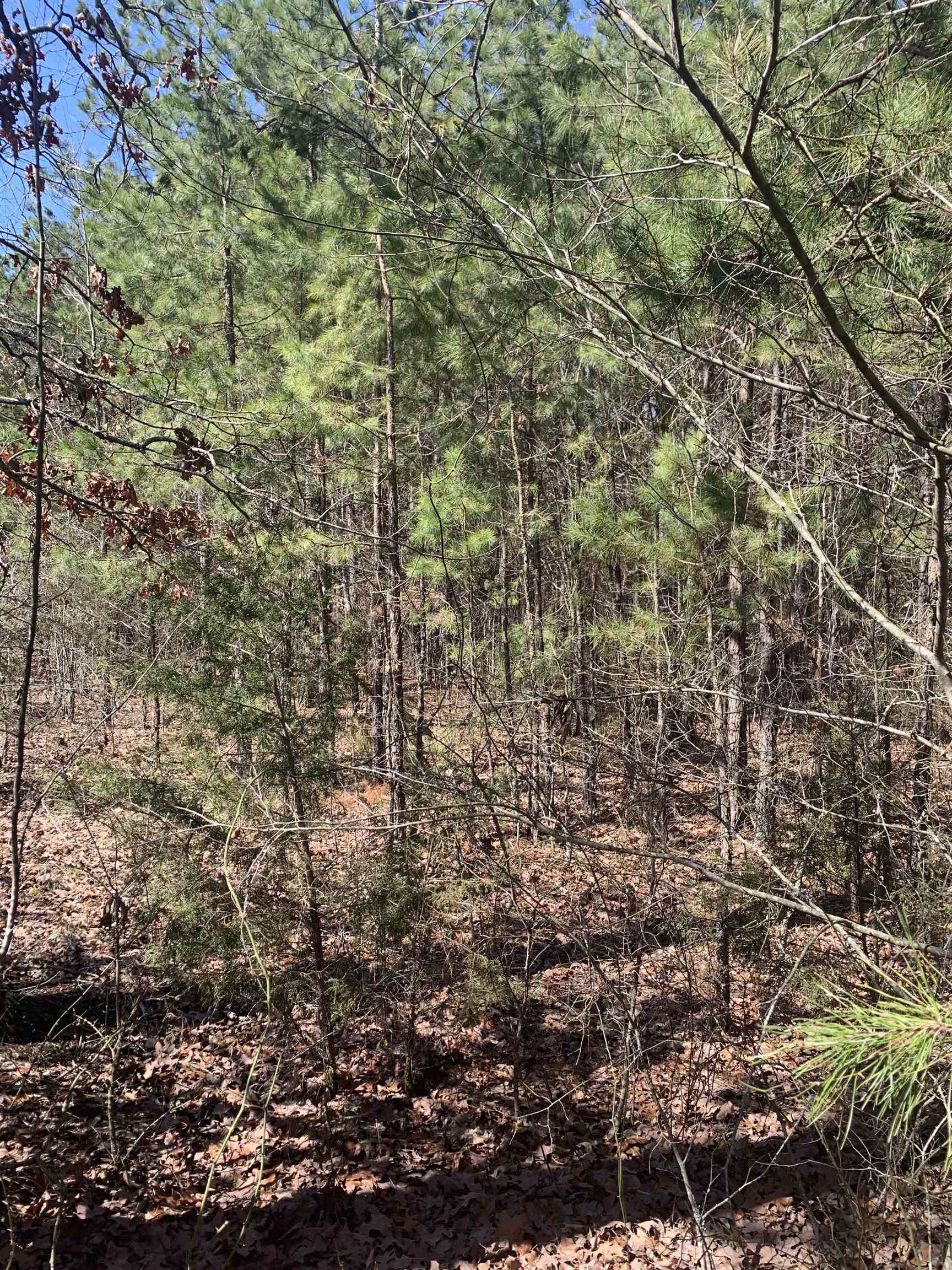 000  Off of Hwy 16 west  Clinton, AR