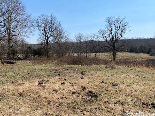 TBD  Byron Rd  Salem, AR