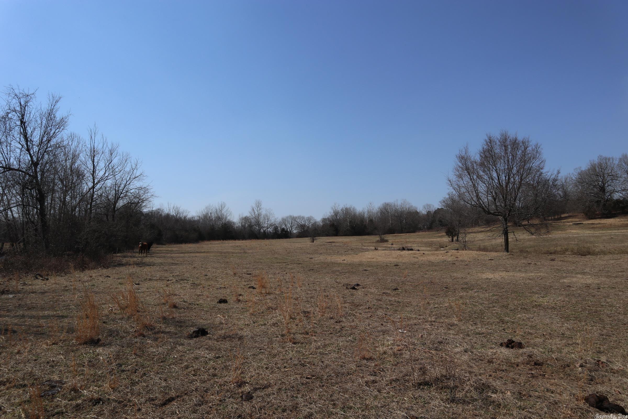 TBD  Byron Rd  Salem, AR