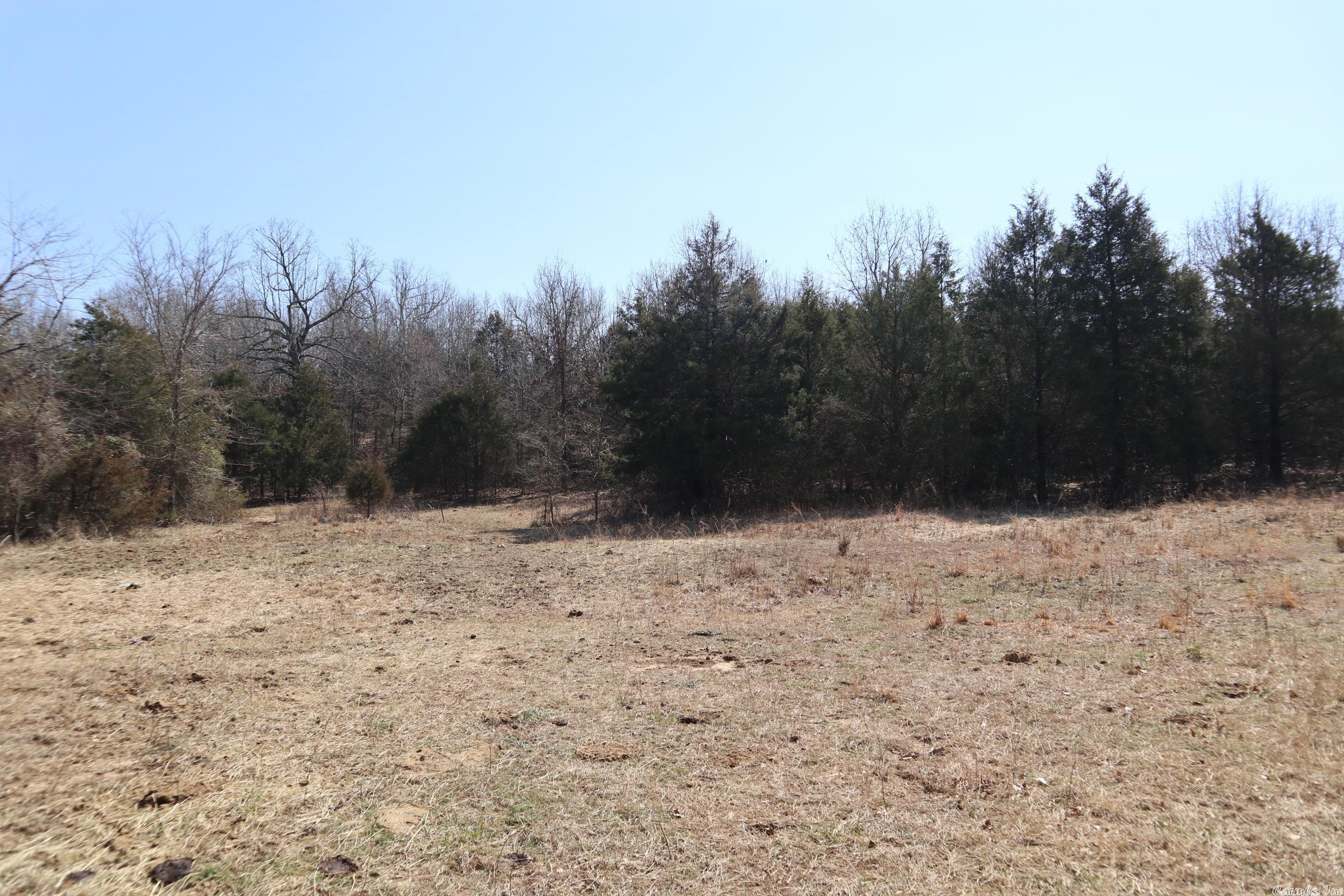 TBD  Byron Rd  Salem, AR