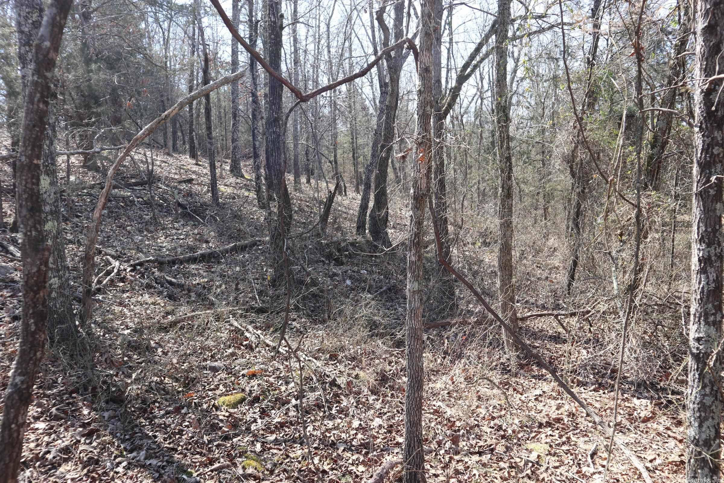 TBD  Byron Rd  Salem, AR