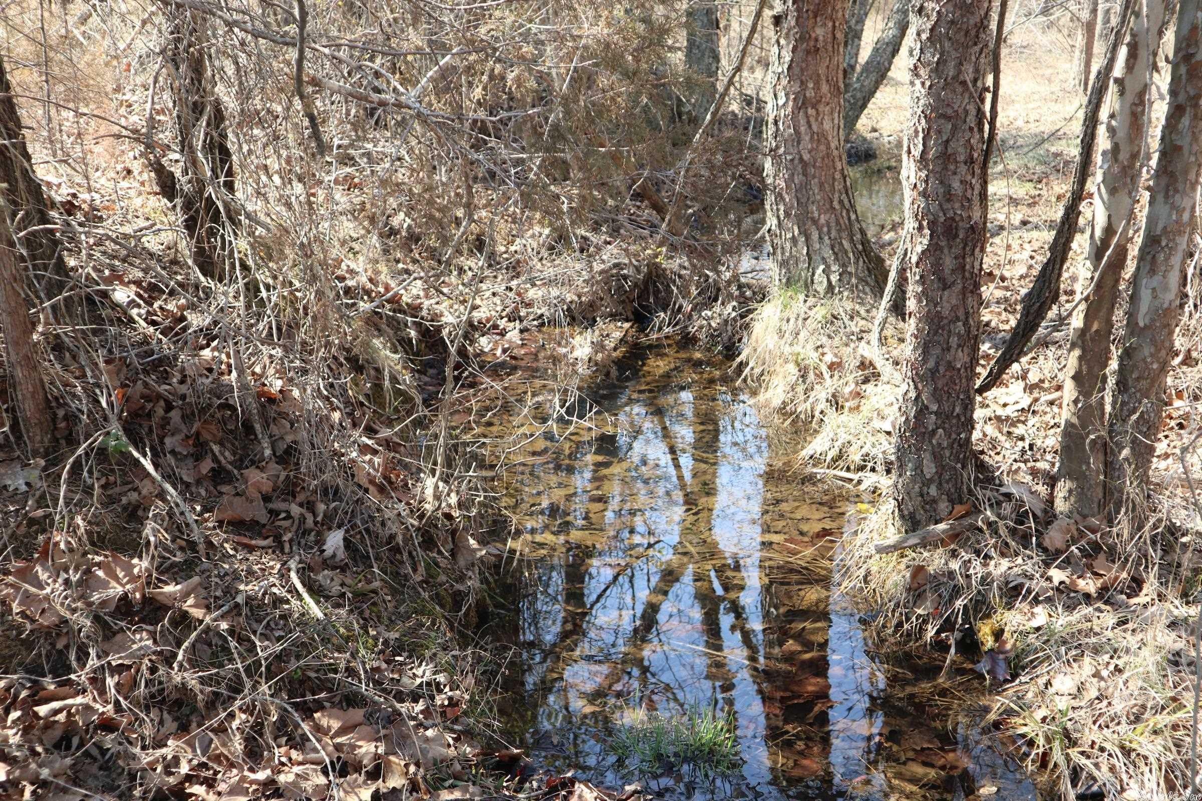 TBD  Byron Rd  Salem, AR