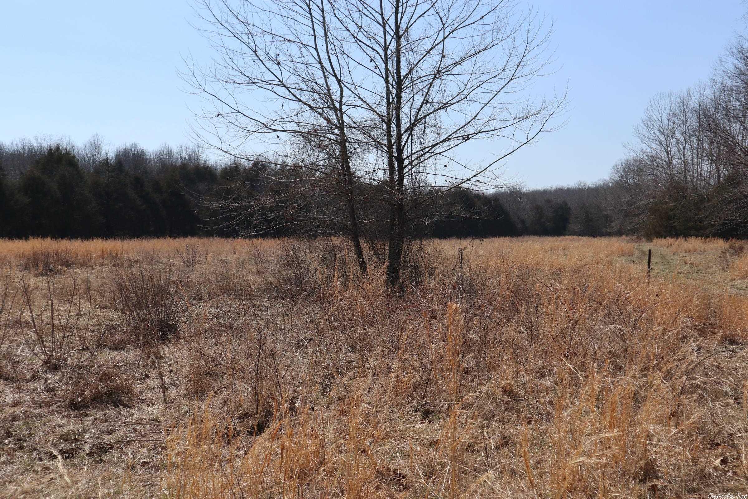 TBD  Byron Rd  Salem, AR