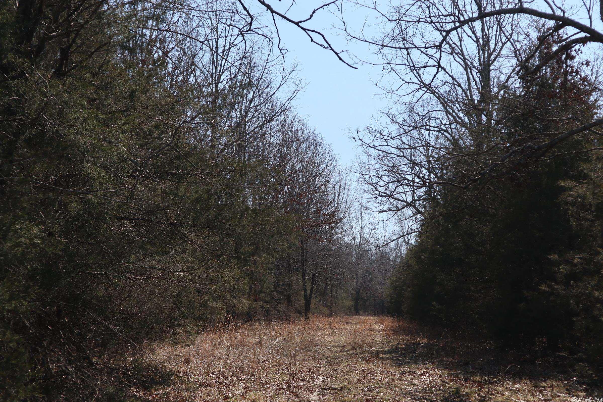 TBD  Byron Rd  Salem, AR