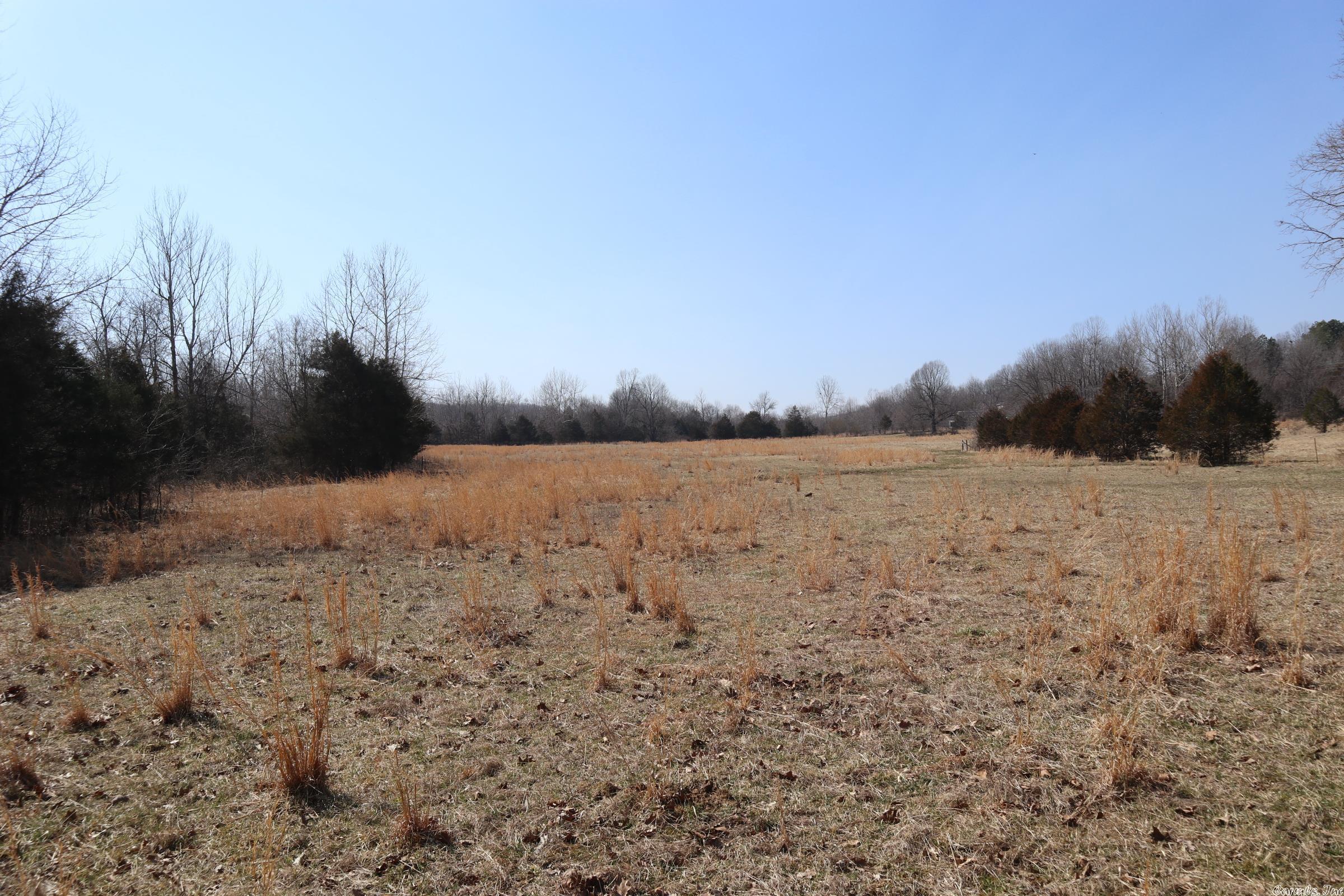 TBD  Byron Rd  Salem, AR