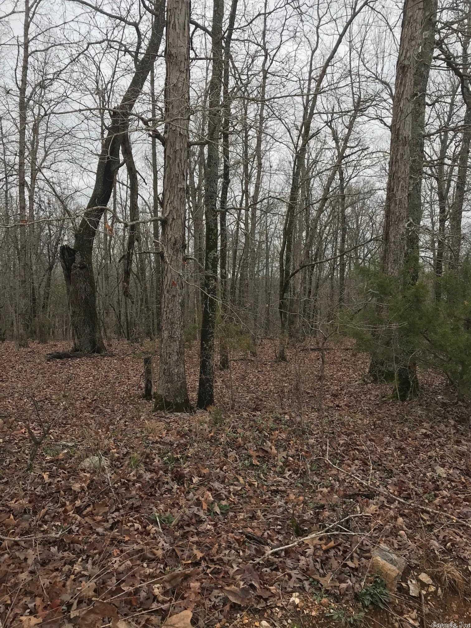 Lot 15  Red Fox Road  Hardy, AR