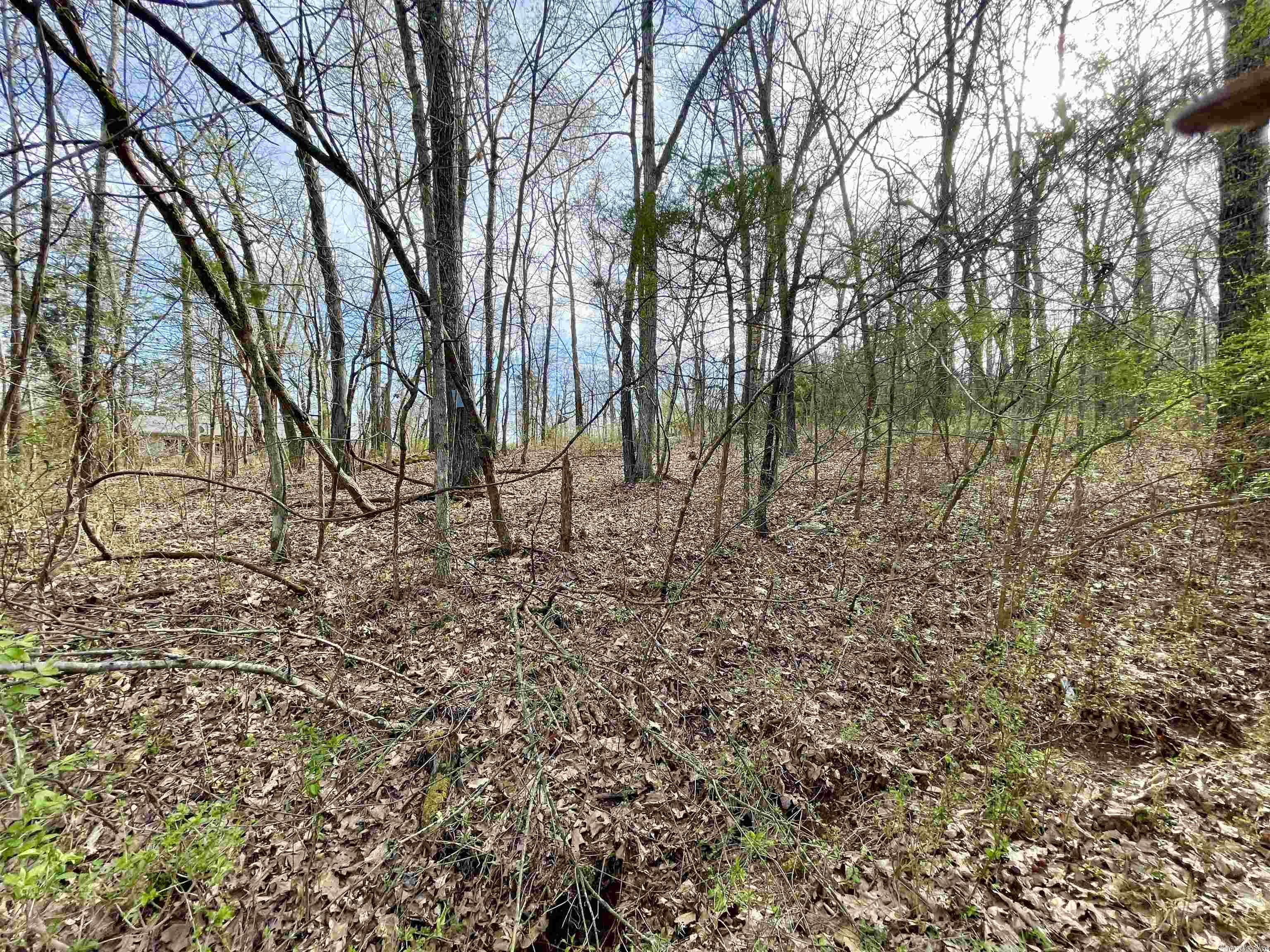 0  Nokomis  Cherokee Village, AR