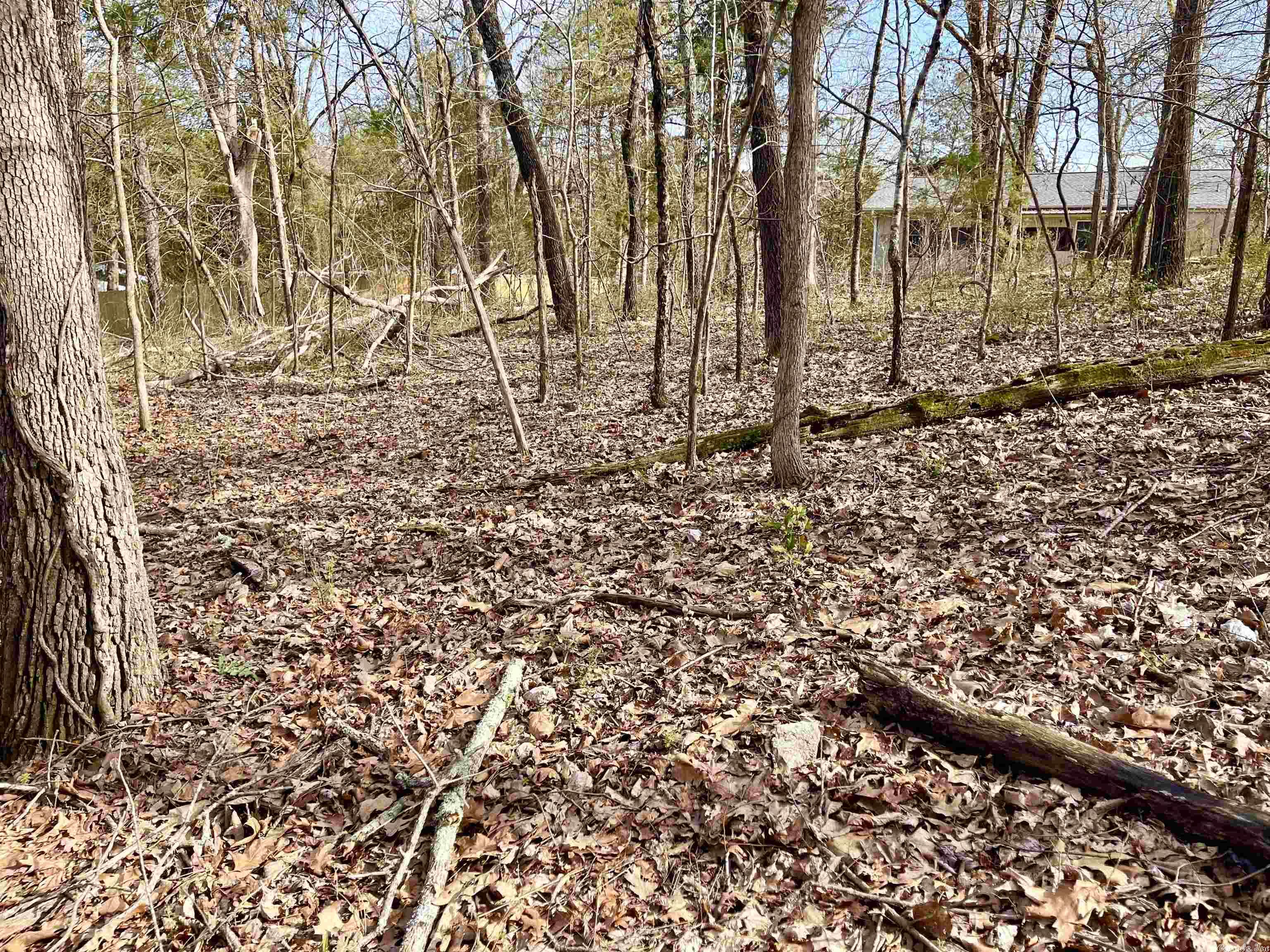0  Nokomis  Cherokee Village, AR