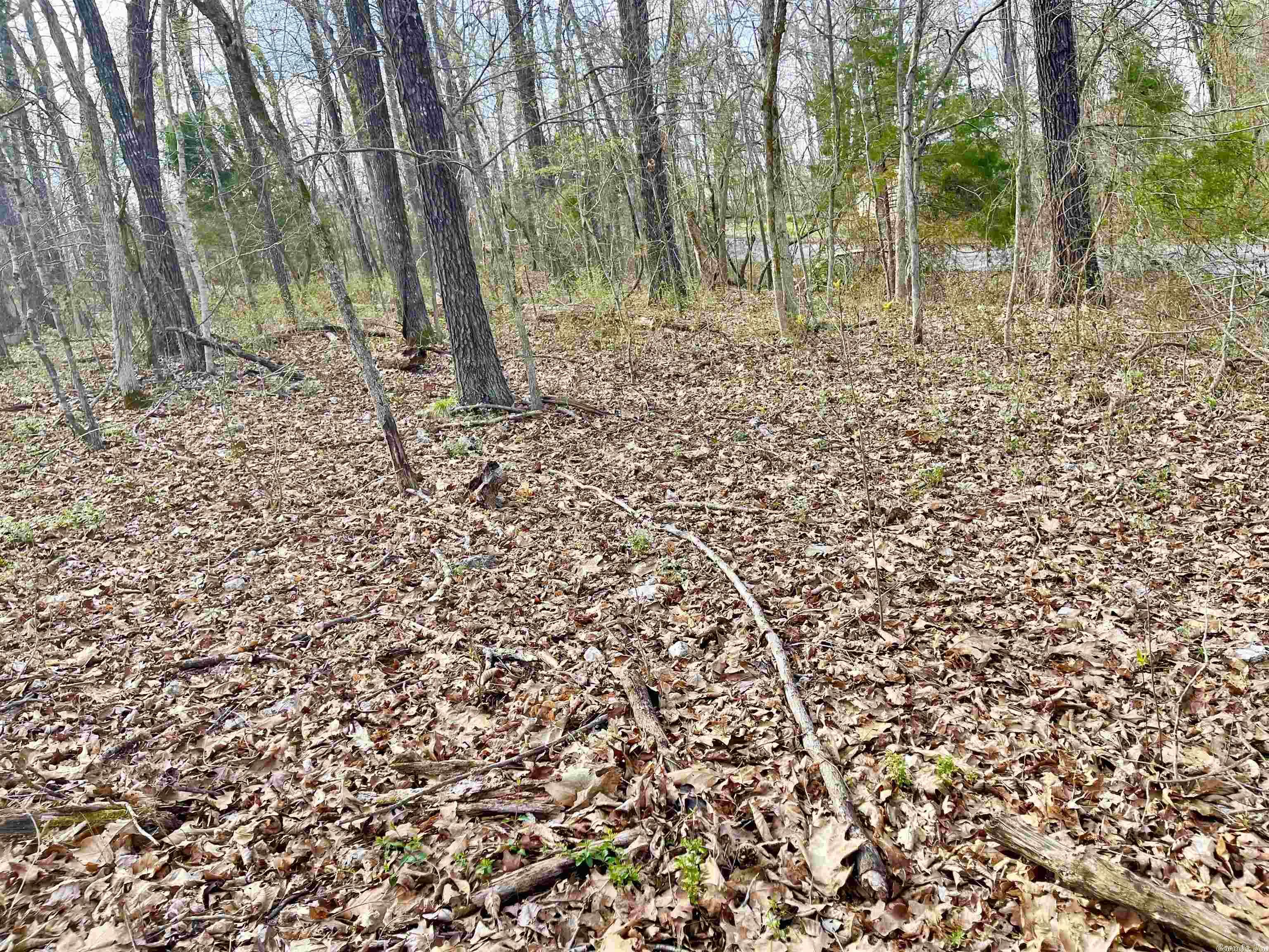 0  Nokomis  Cherokee Village, AR