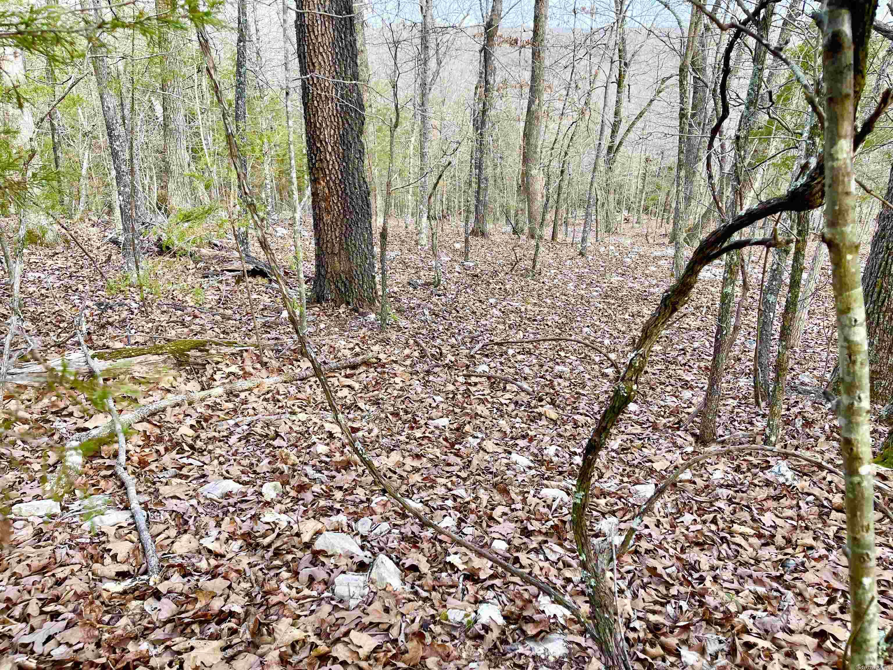 0  Coweta  Cherokee Village, AR
