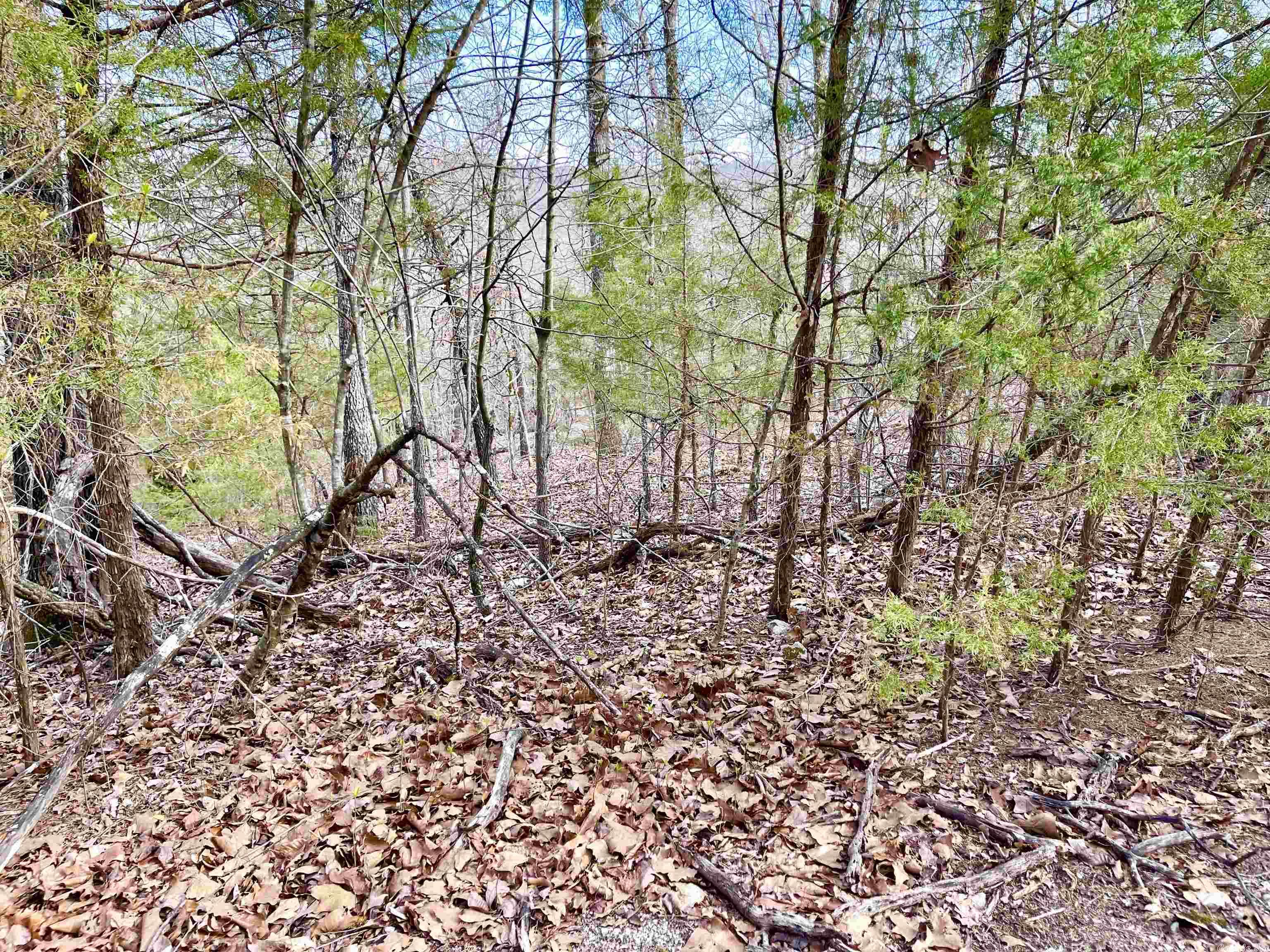 0  Coweta  Cherokee Village, AR