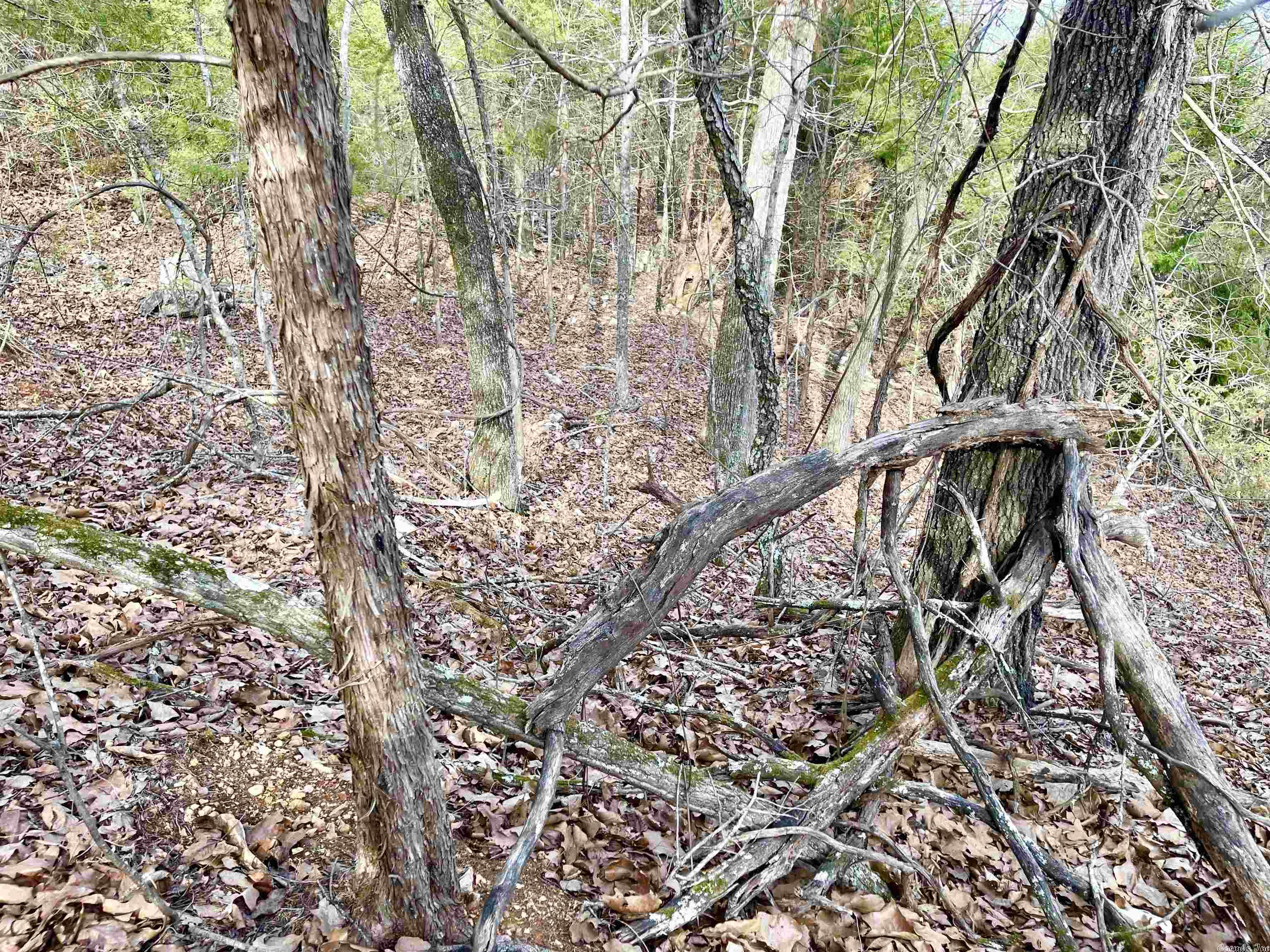 0  Coweta  Cherokee Village, AR