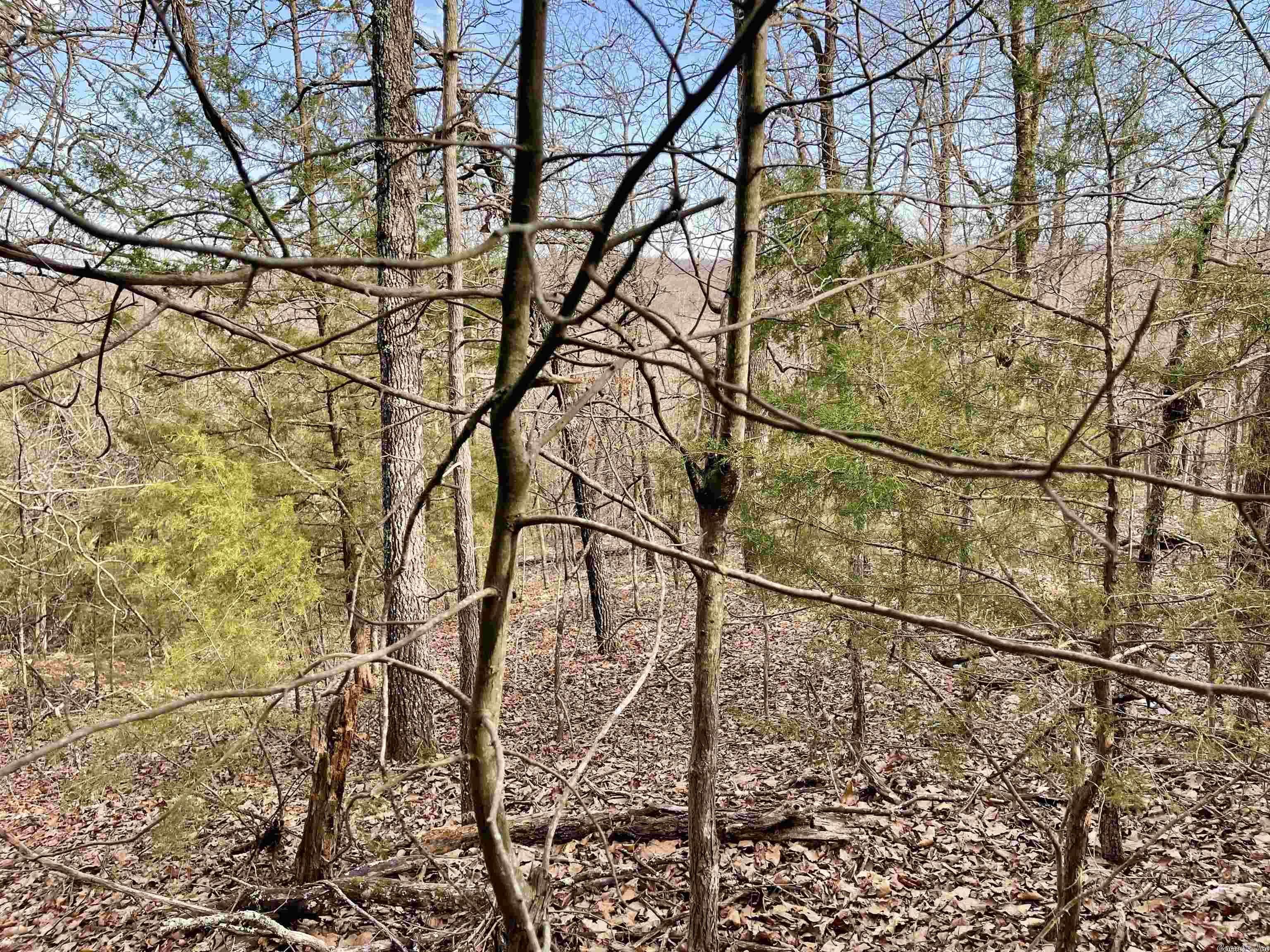 0  Coweta  Cherokee Village, AR