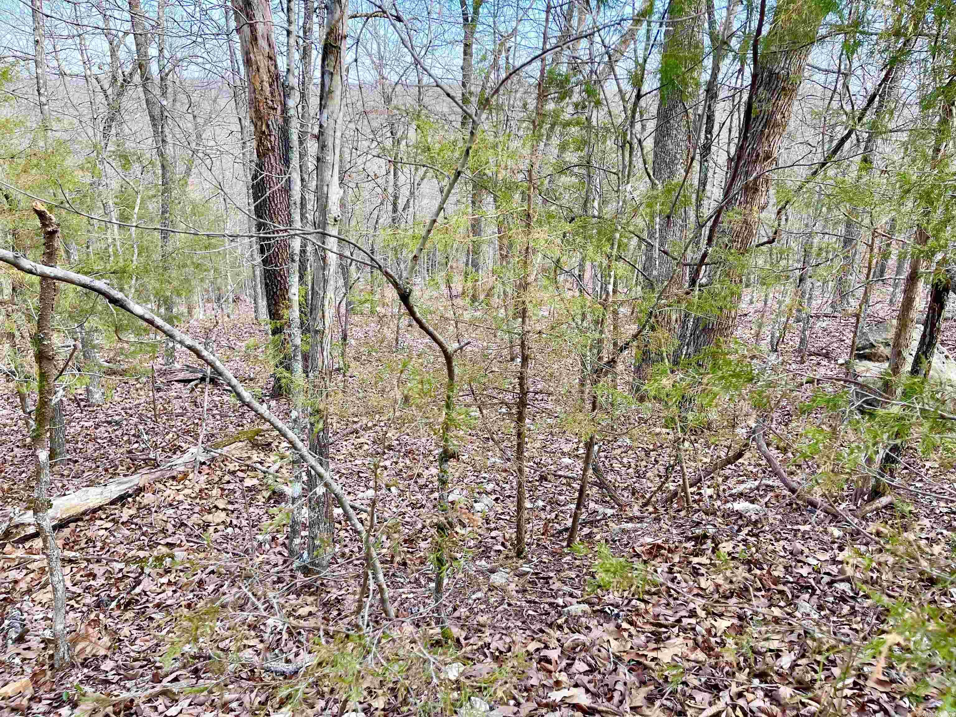 0  Coweta  Cherokee Village, AR