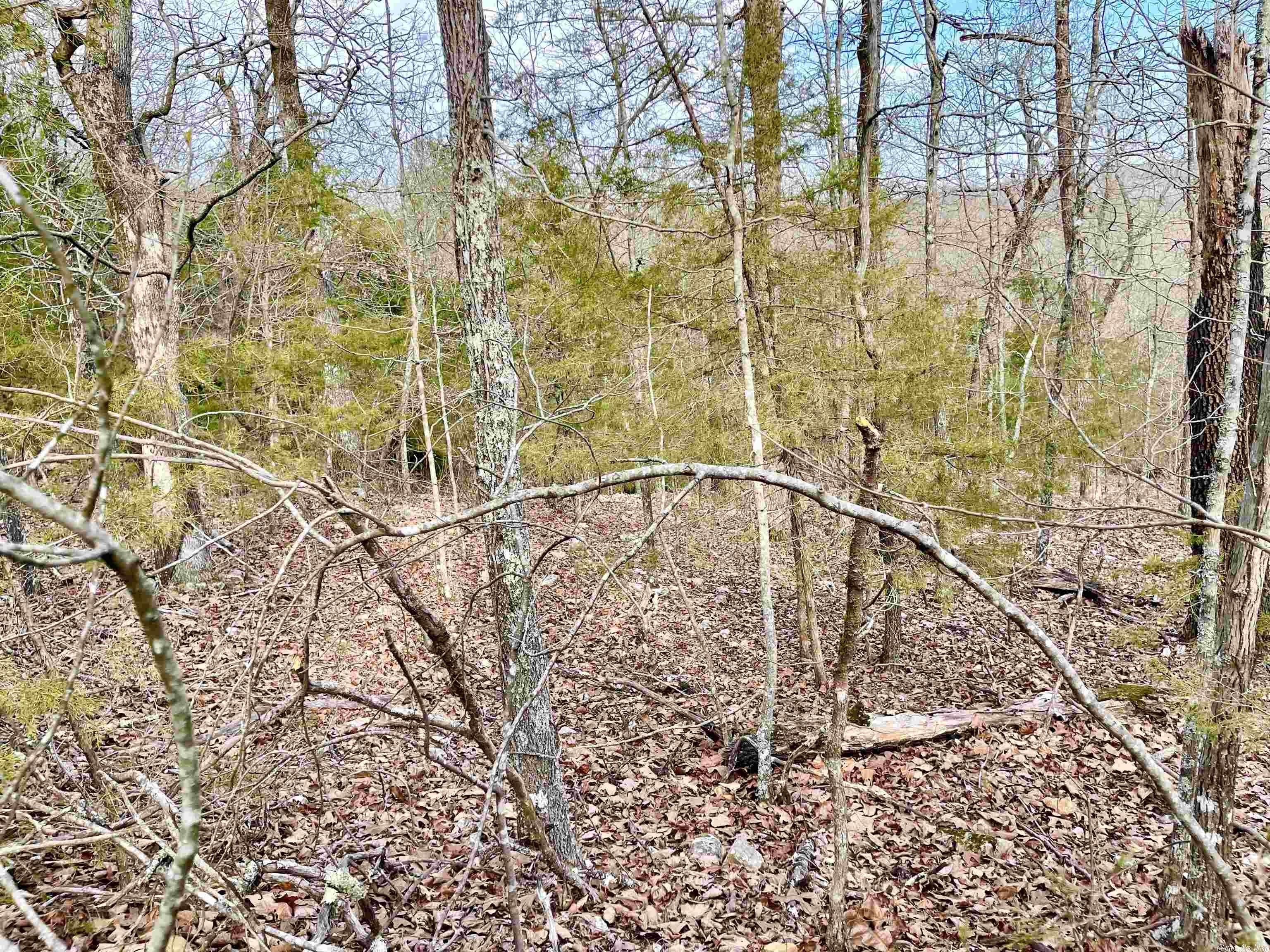 0  Coweta  Cherokee Village, AR