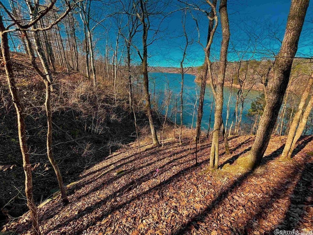 111  Tree Lakes  Searcy, AR