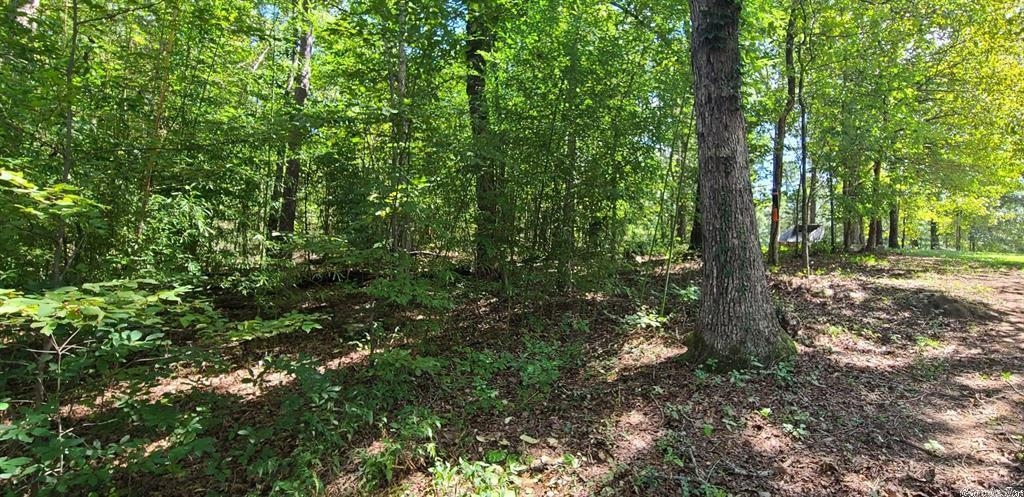 111  Tree Lakes  Searcy, AR
