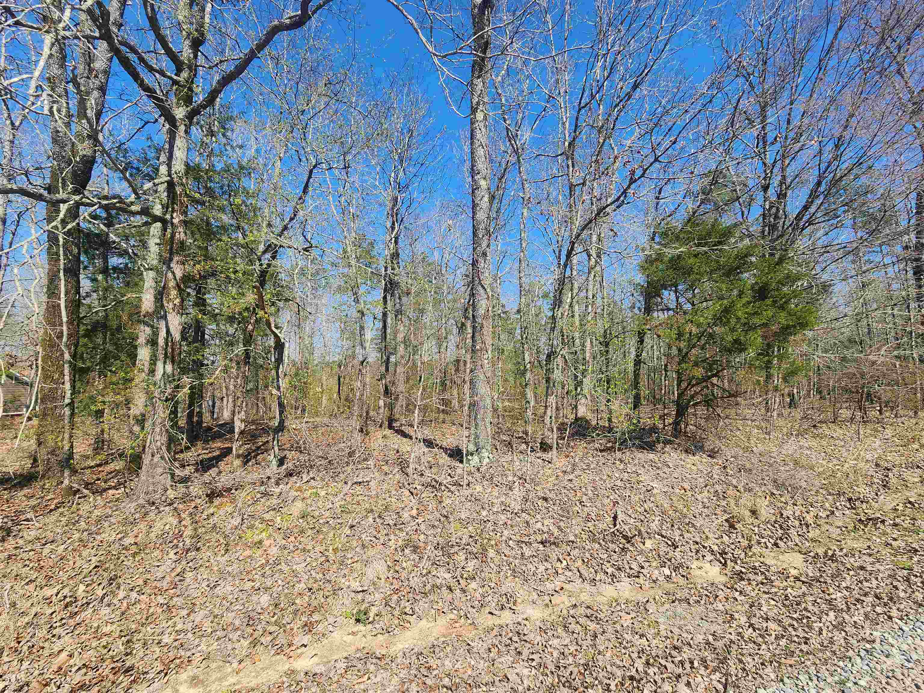 111  Tree Lakes  Searcy, AR