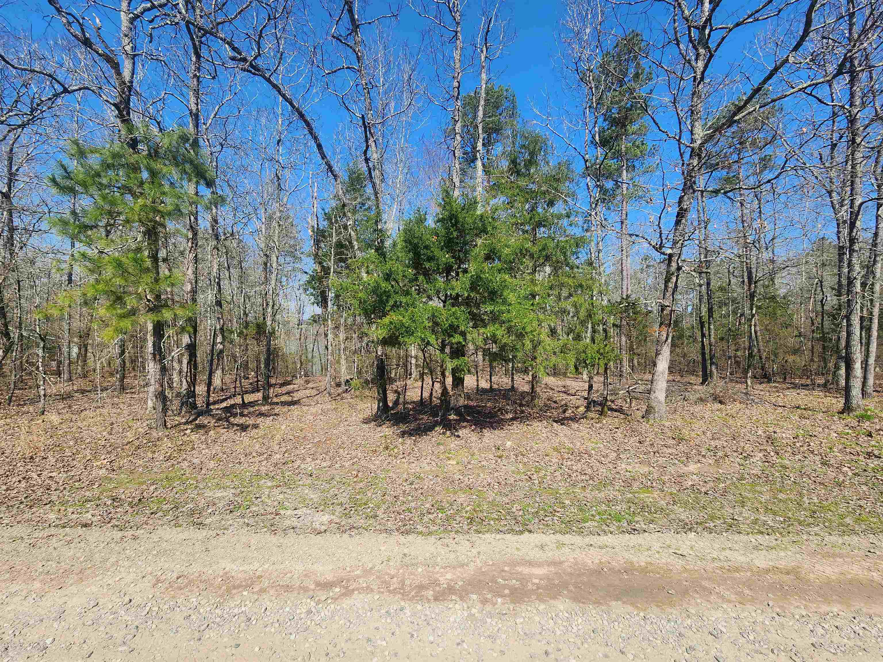 111  Tree Lakes  Searcy, AR