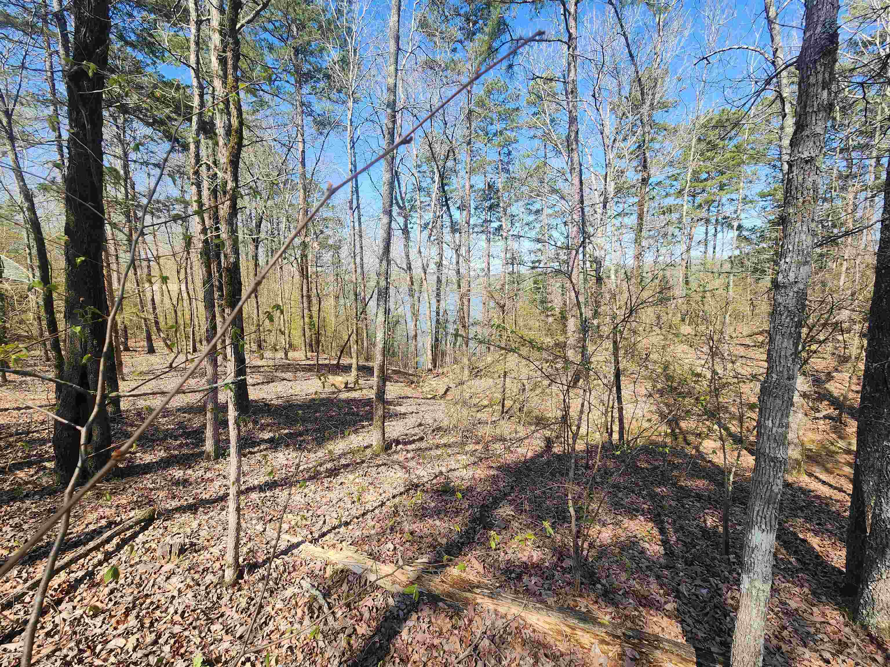 111  Tree Lakes  Searcy, AR