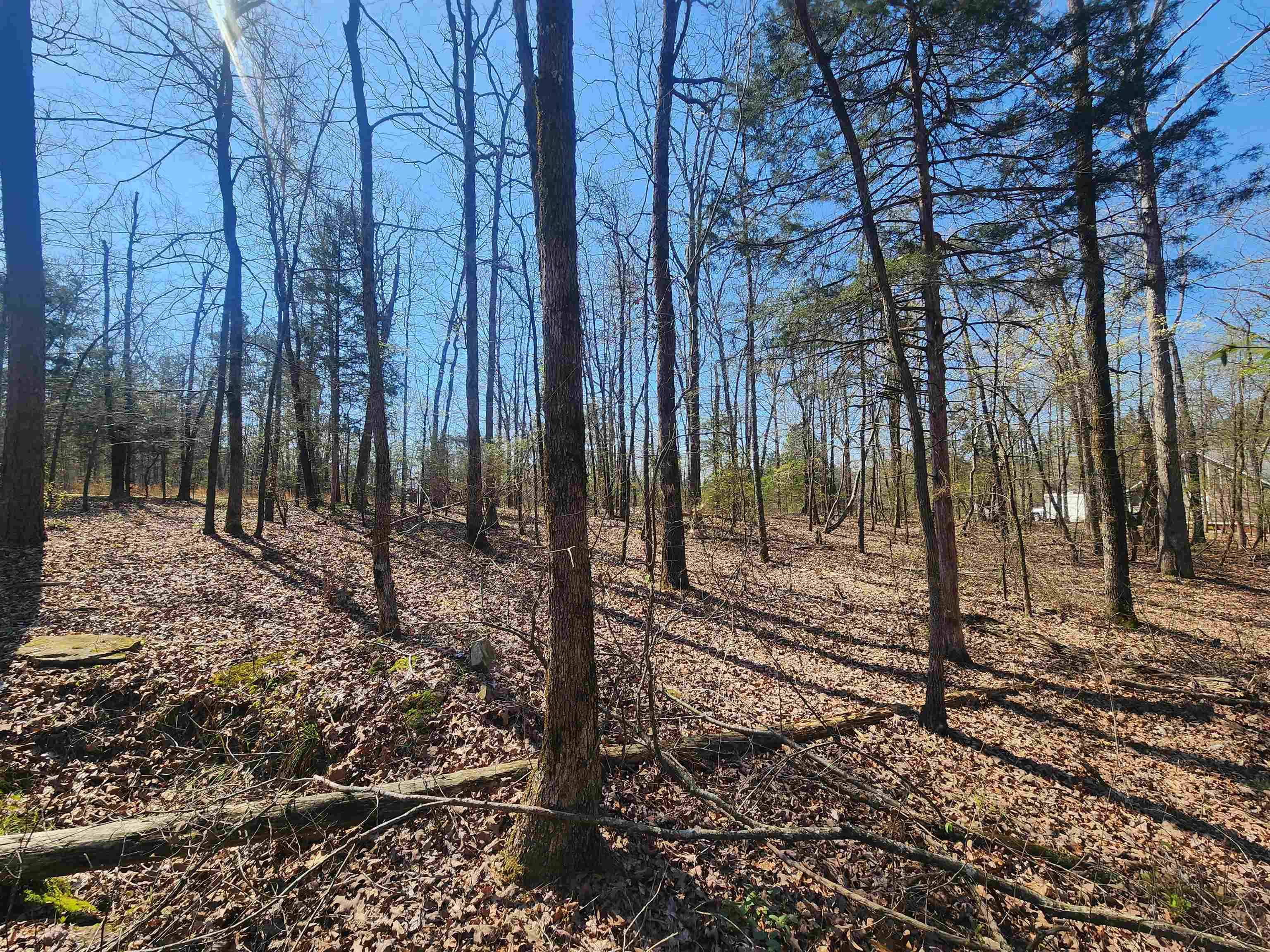 111  Tree Lakes  Searcy, AR