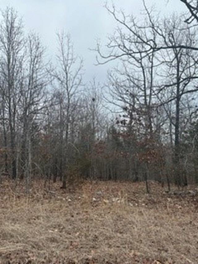 Lot 14  Buckhead Lane  Mountain Home, AR
