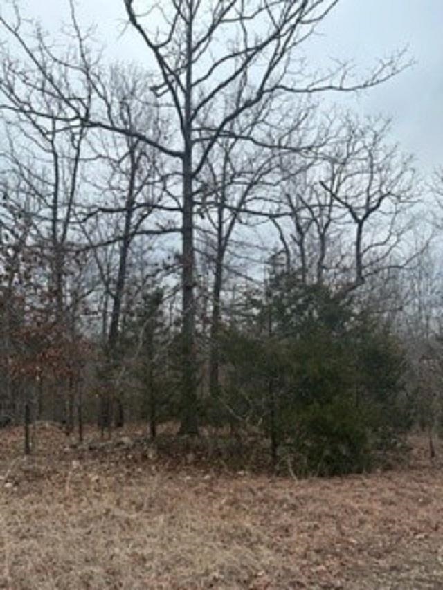 Lot 14  Buckhead Lane  Mountain Home, AR