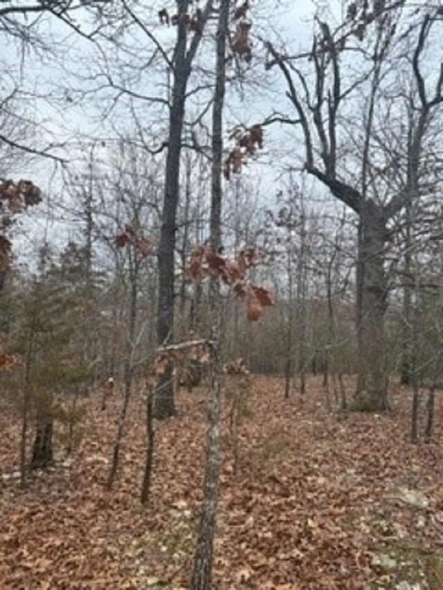Lot 14  Buckhead Lane  Mountain Home, AR