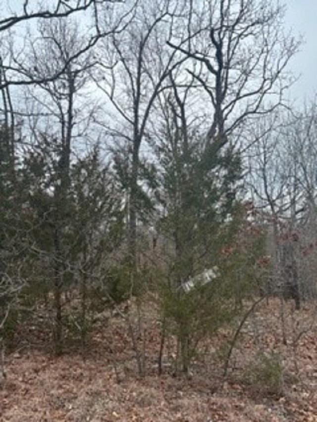 Lot 14  Buckhead Lane  Mountain Home, AR