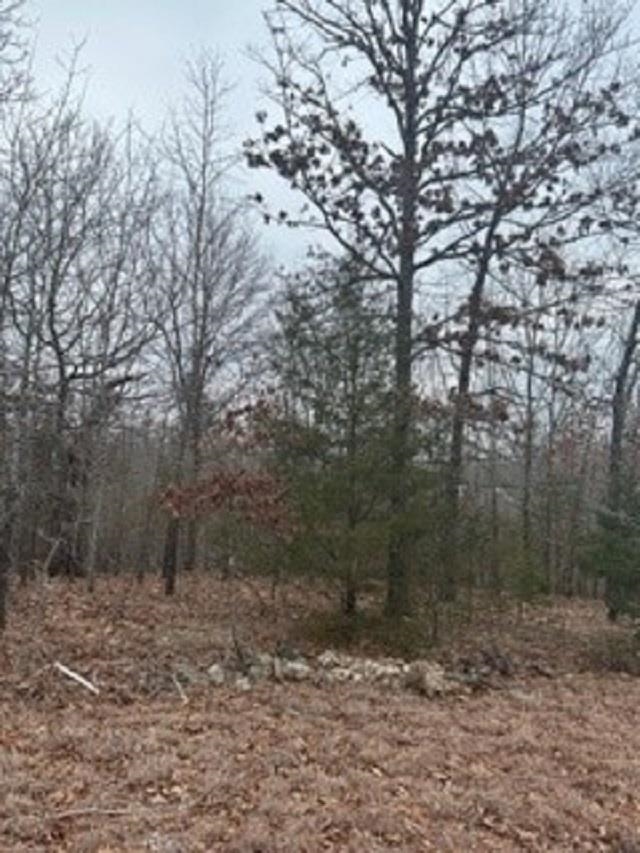 Lot 14 & 15  Buckhead Lane  Mountain Home, AR