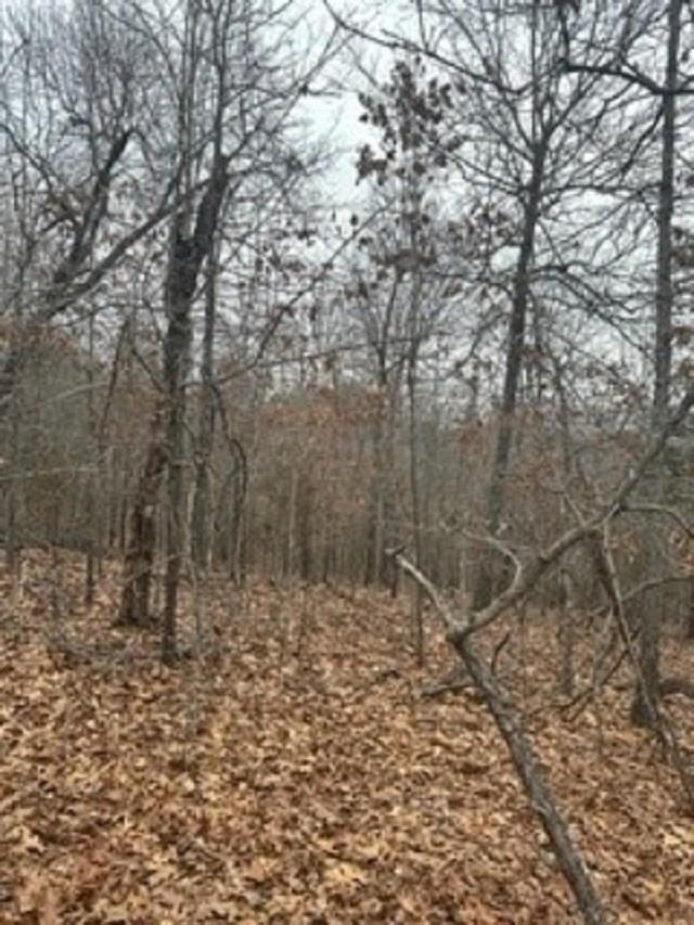 Lot 14 & 15  Buckhead Lane  Mountain Home, AR