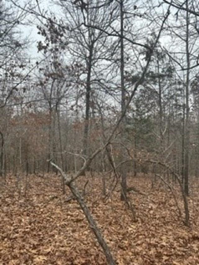 Lot 14 & 15  Buckhead Lane  Mountain Home, AR