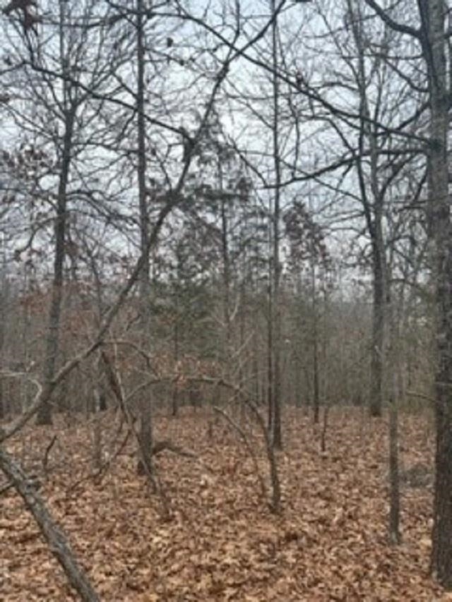 Lot 14 & 15  Buckhead Lane  Mountain Home, AR