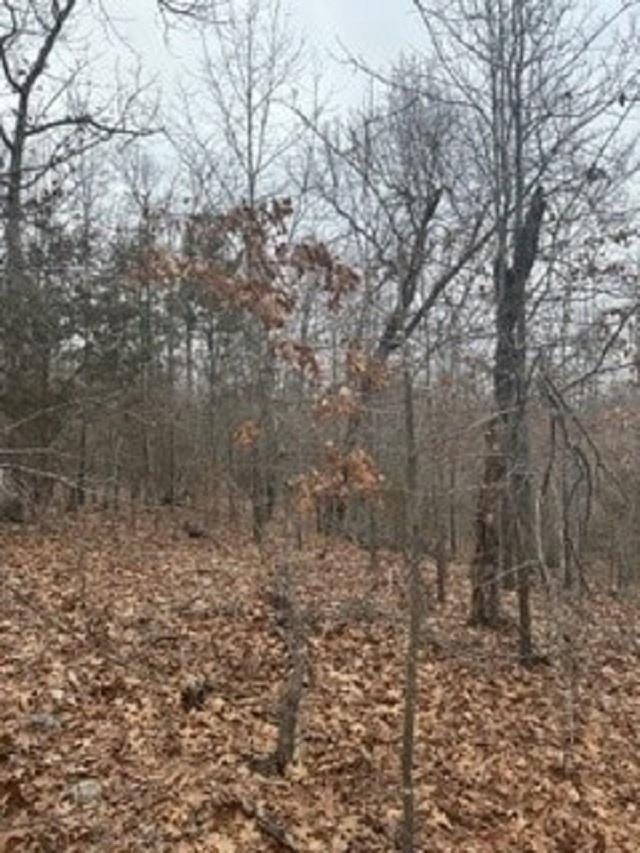 Lot 14 & 15  Buckhead Lane  Mountain Home, AR