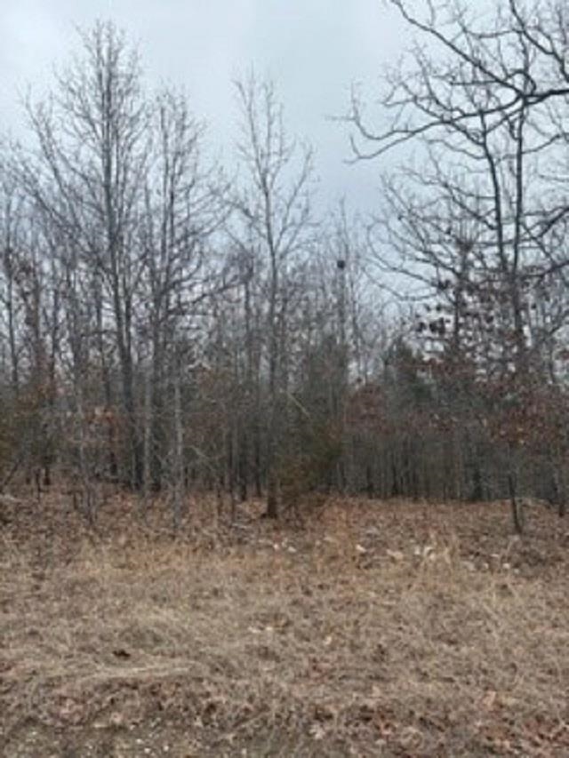 Lot 14 & 15  Buckhead Lane  Mountain Home, AR