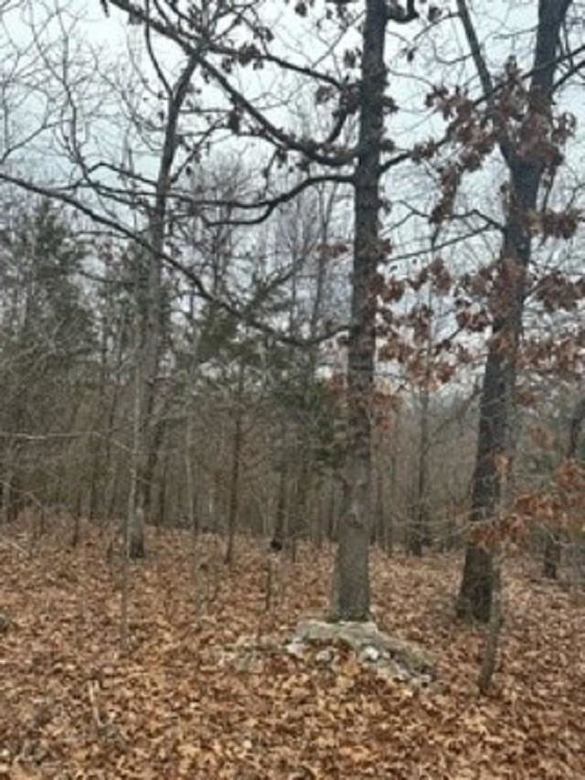 Lot 14 & 15  Buckhead Lane  Mountain Home, AR