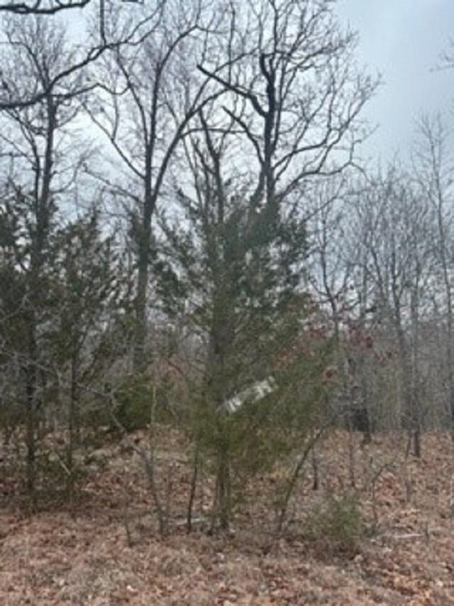 Lot 14 & 15  Buckhead Lane  Mountain Home, AR