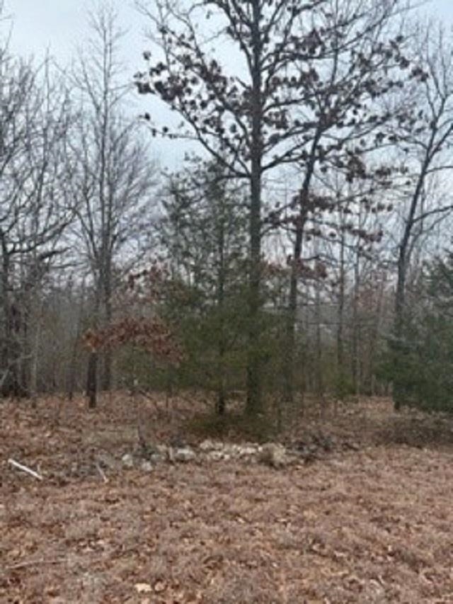 Lot 14 & 15  Buckhead Lane  Mountain Home, AR