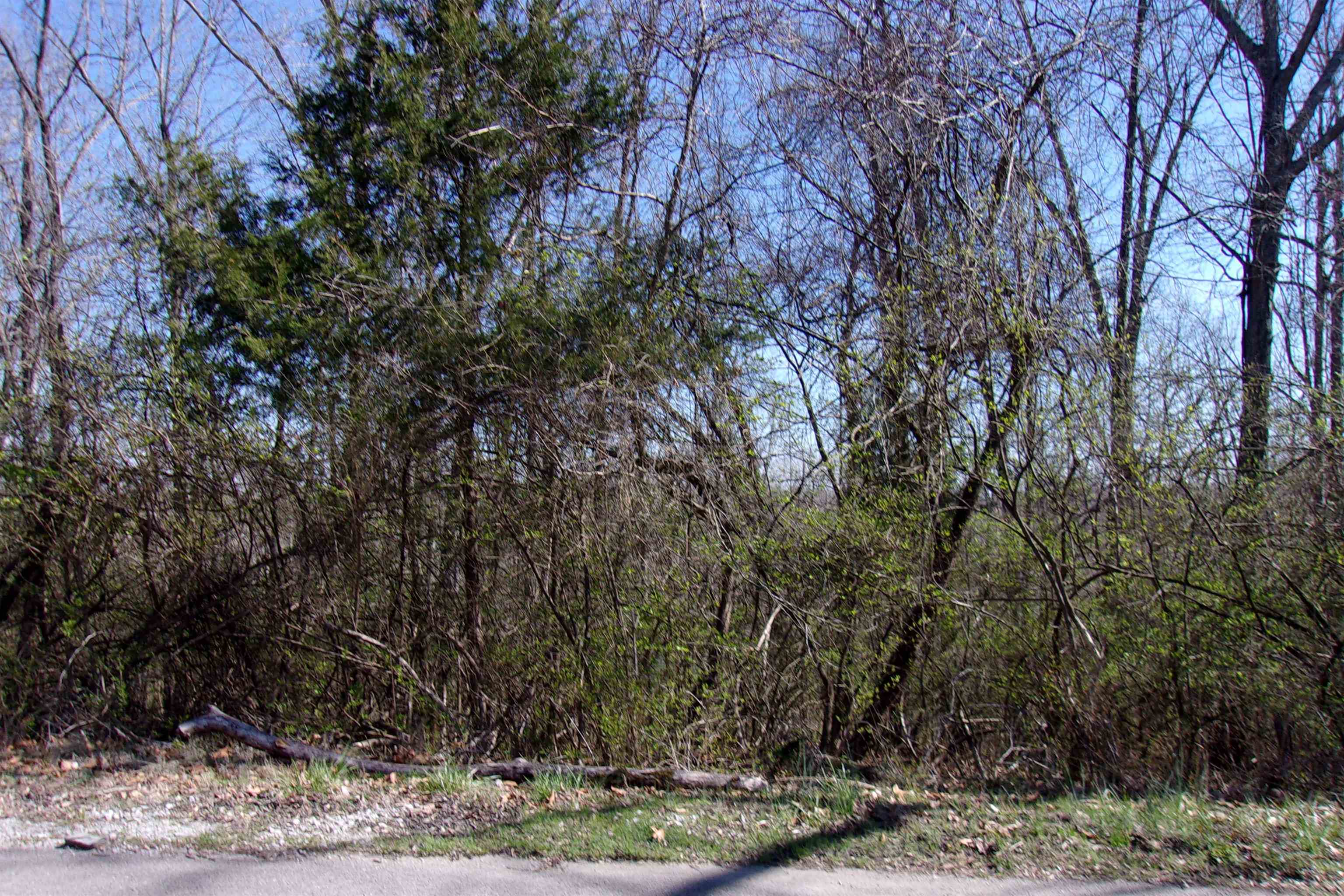 00  Alford  Bull Shoals, AR
