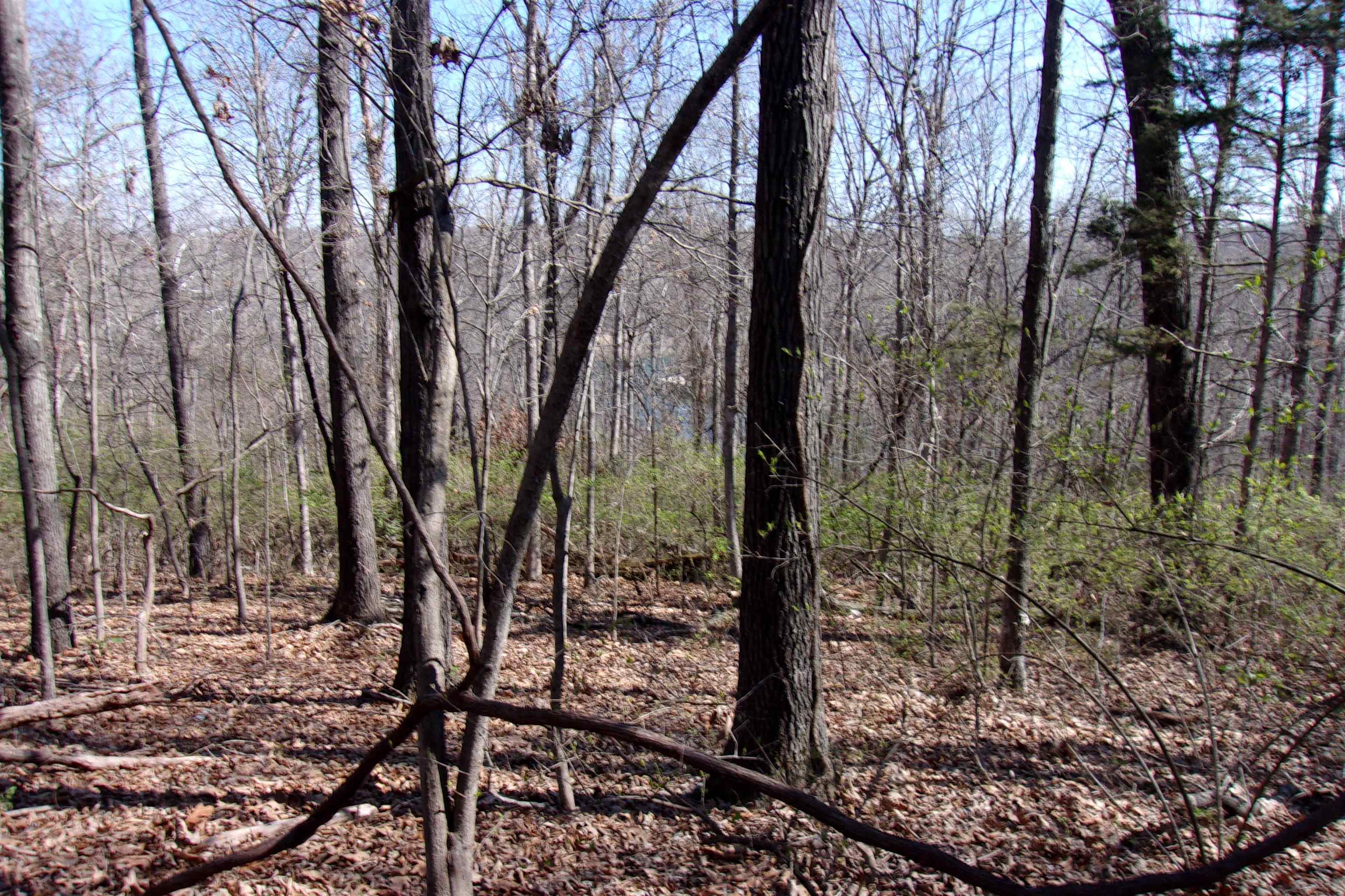 00  Alford  Bull Shoals, AR