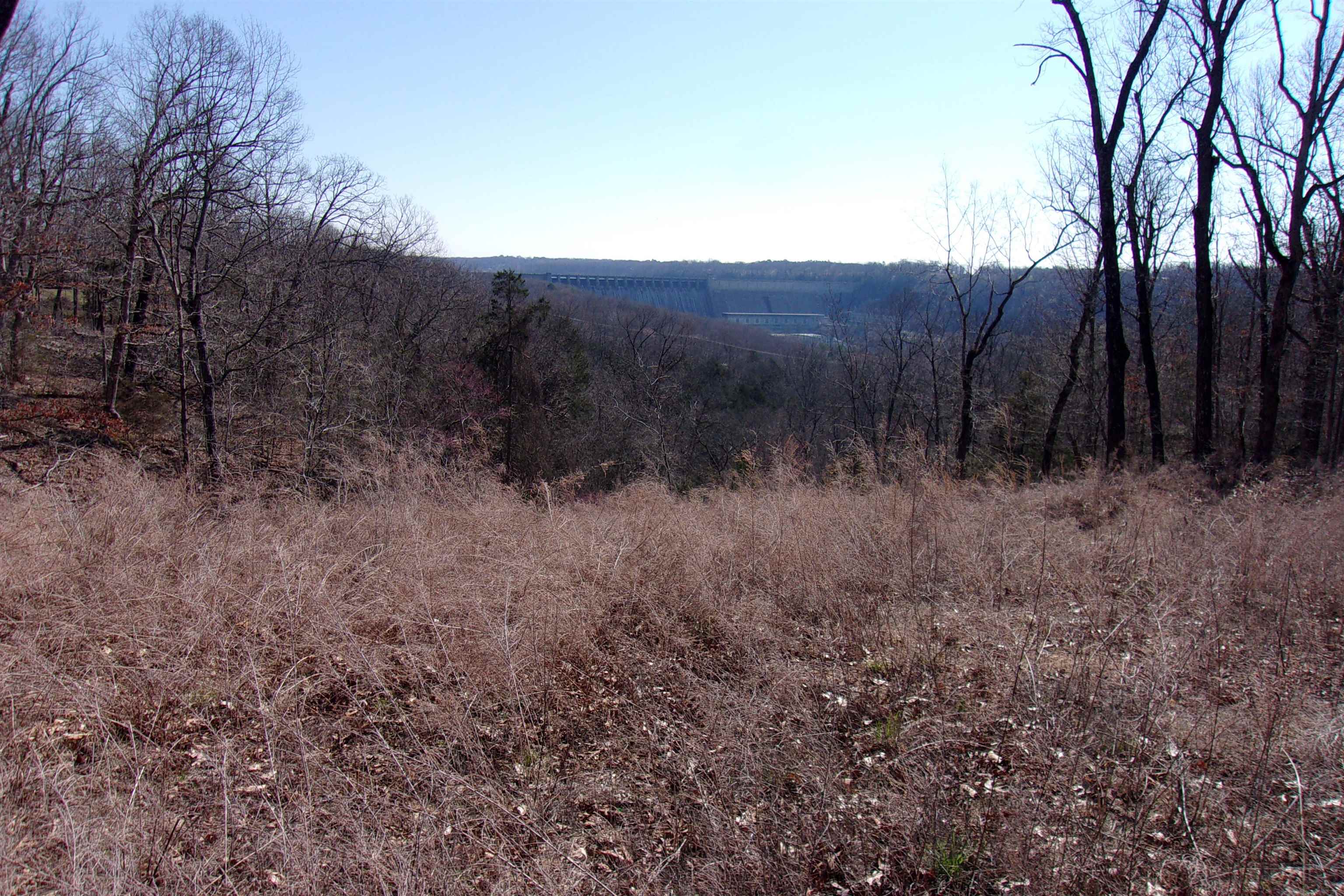 lots  Country Club Ln Lot 8,9,10,14,15,16 Bull Shoals, AR