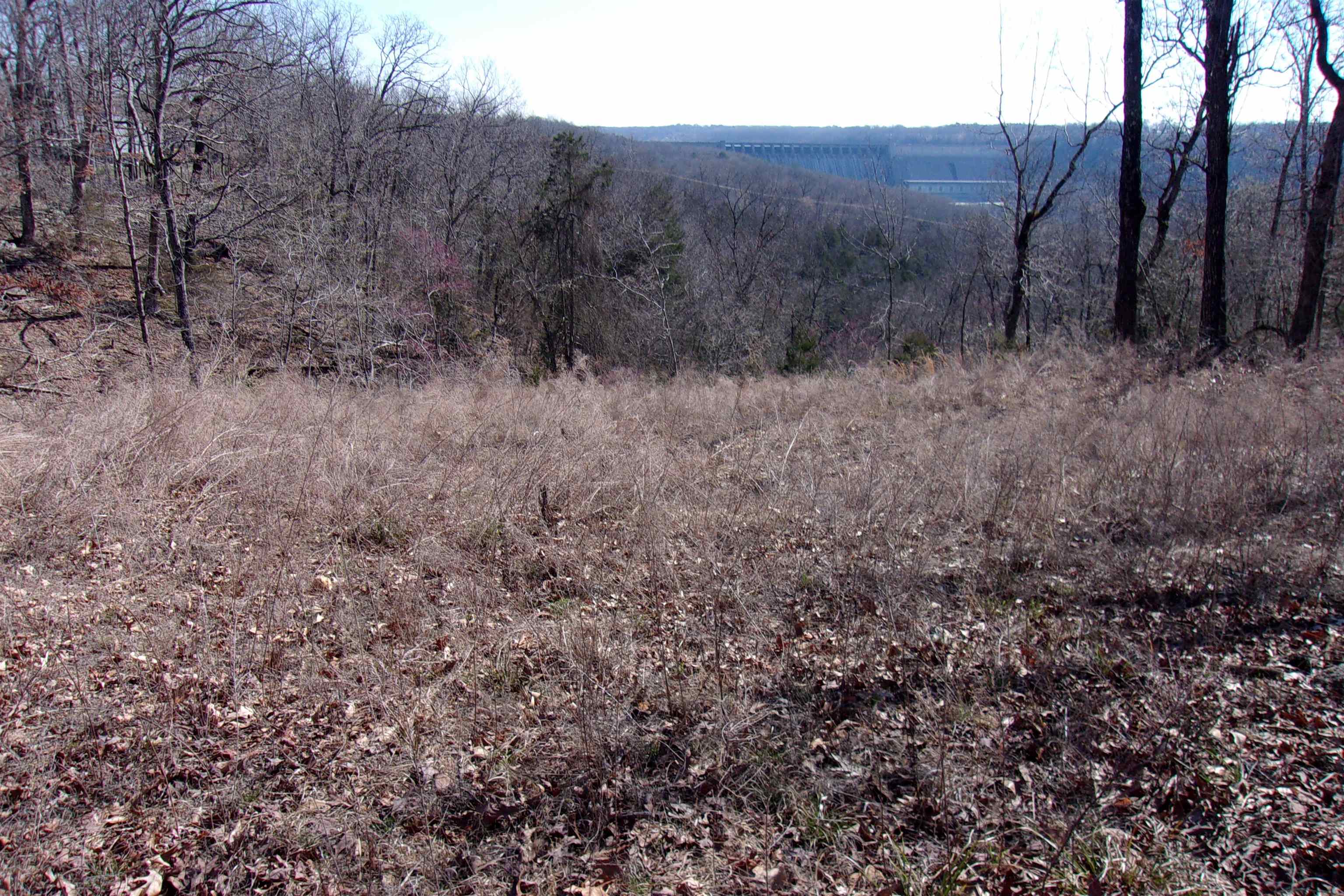 lots  Country Club Ln Lot 8,9,10,14,15,16 Bull Shoals, AR