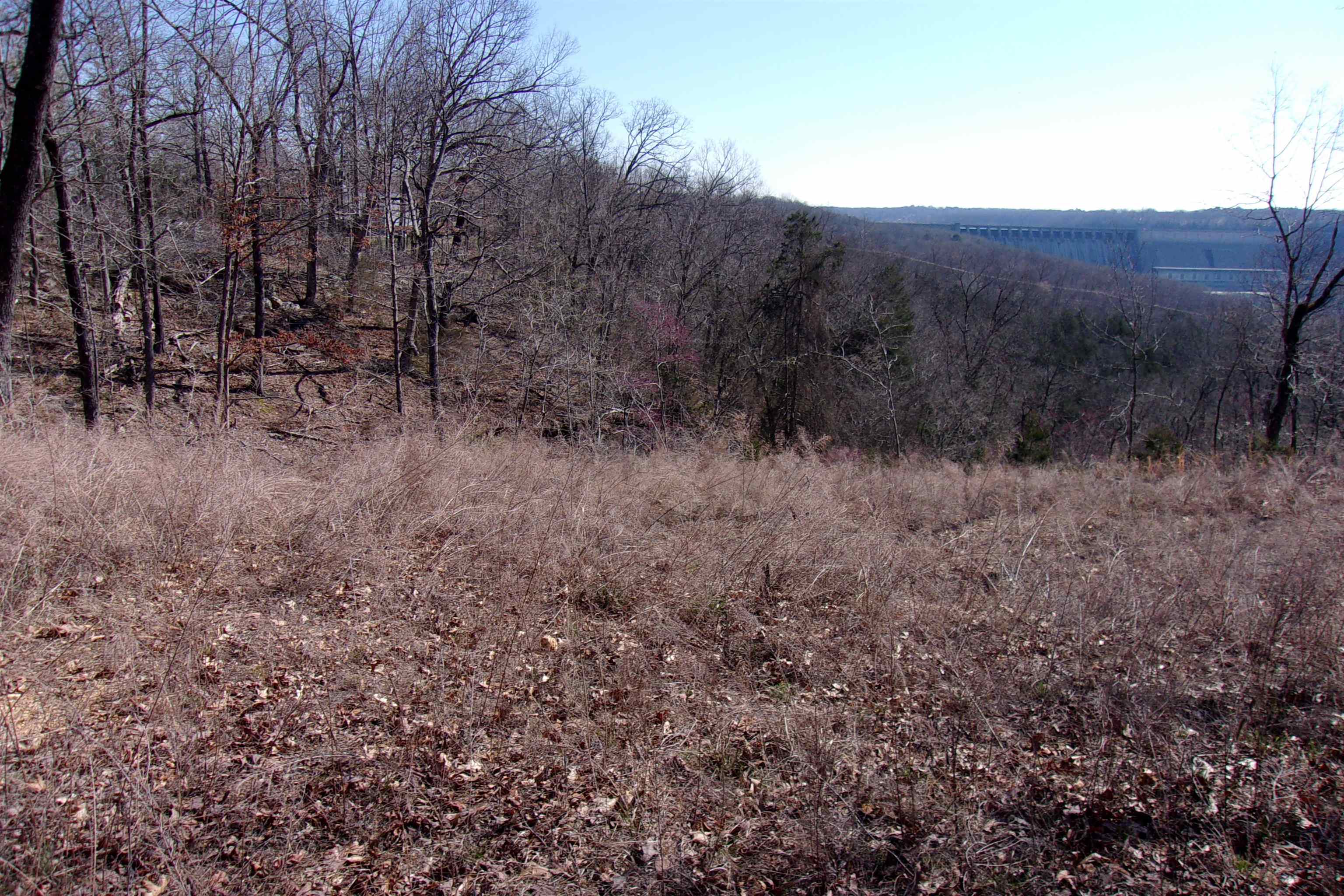 Lot 14  Country Club ln  Bull Shoals, AR