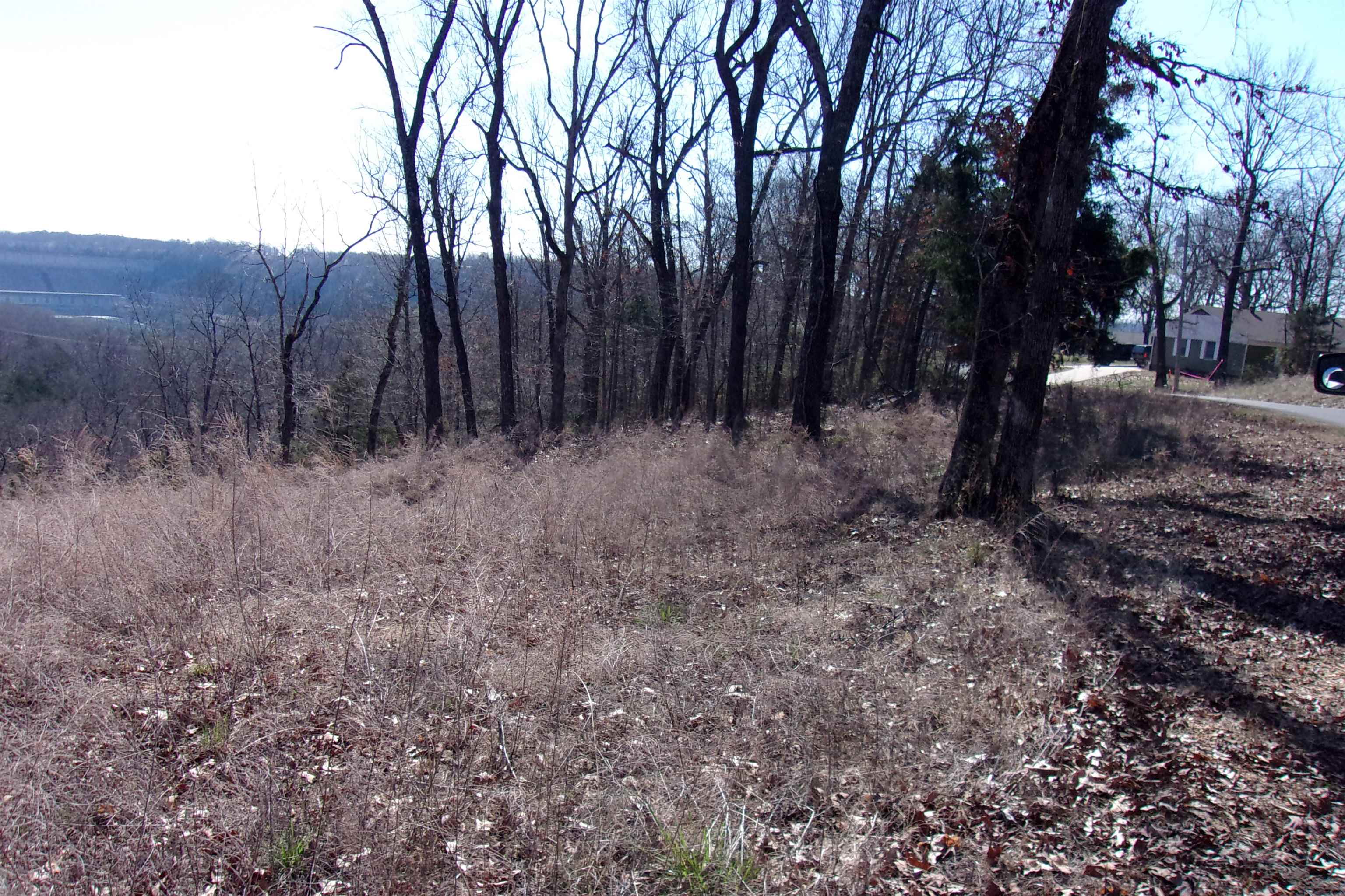 Lot 8  Country Club Lane  Bull Shoals, AR