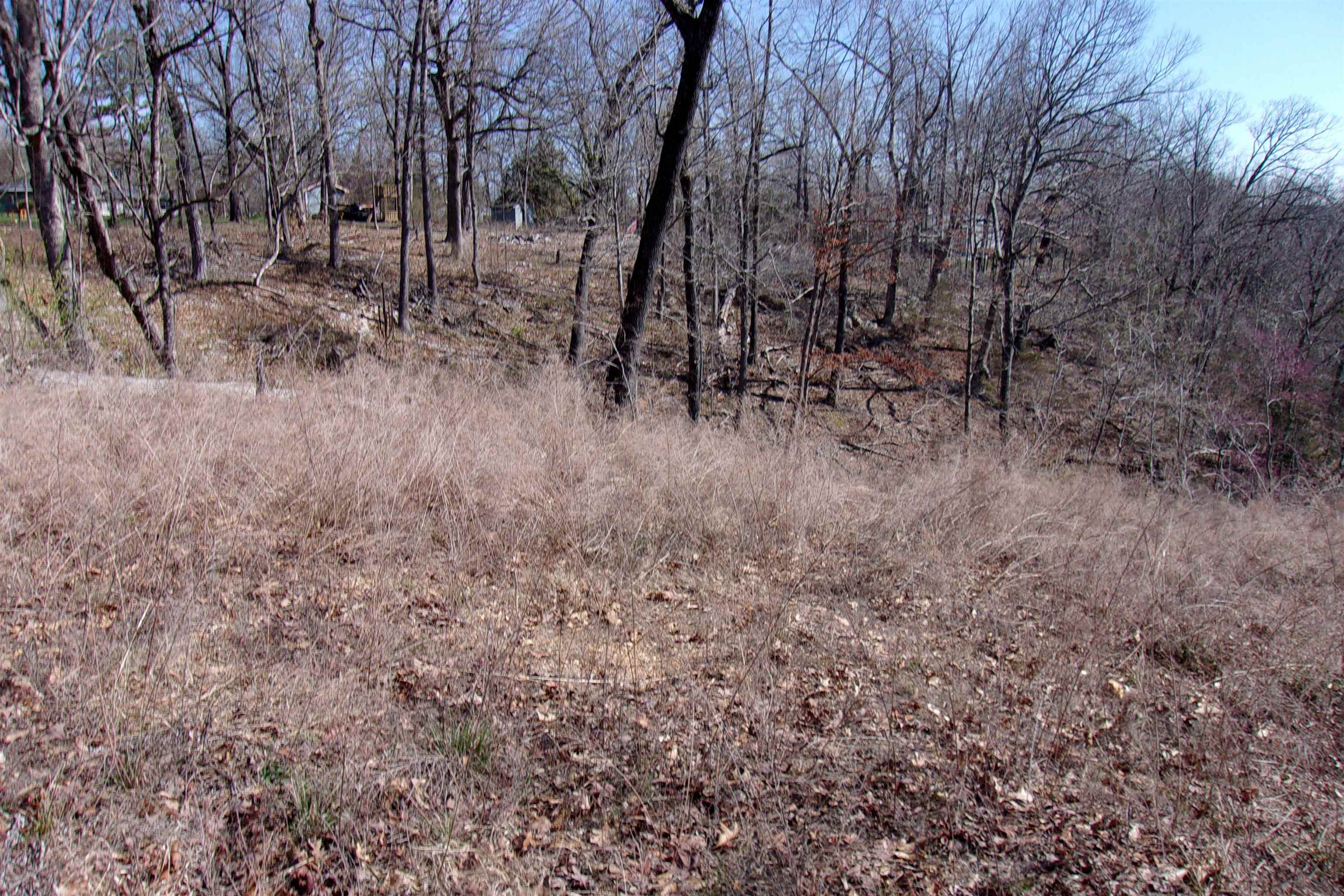 Lot 8  Country Club Lane  Bull Shoals, AR