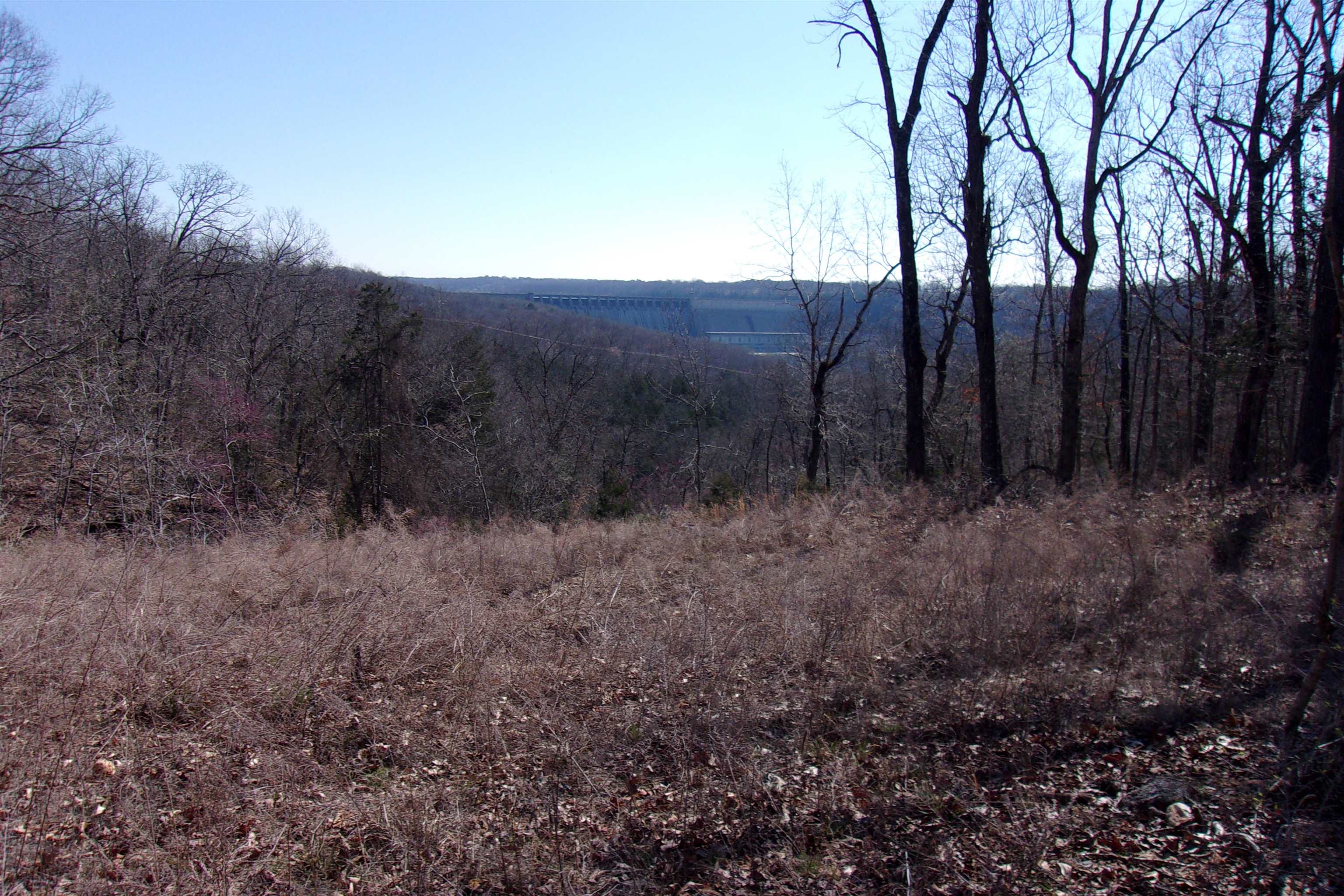 Lot 8  Country Club Lane  Bull Shoals, AR